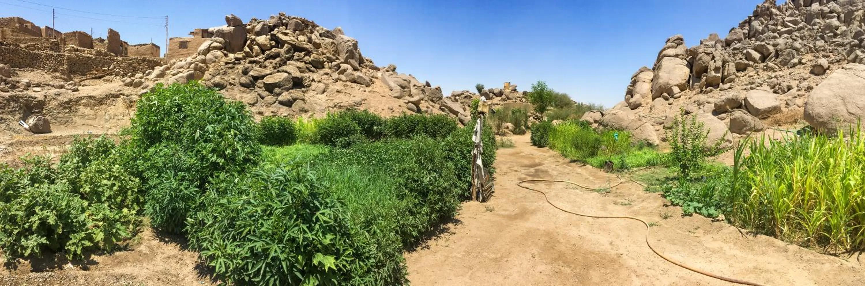 Garden in Eco Nubia