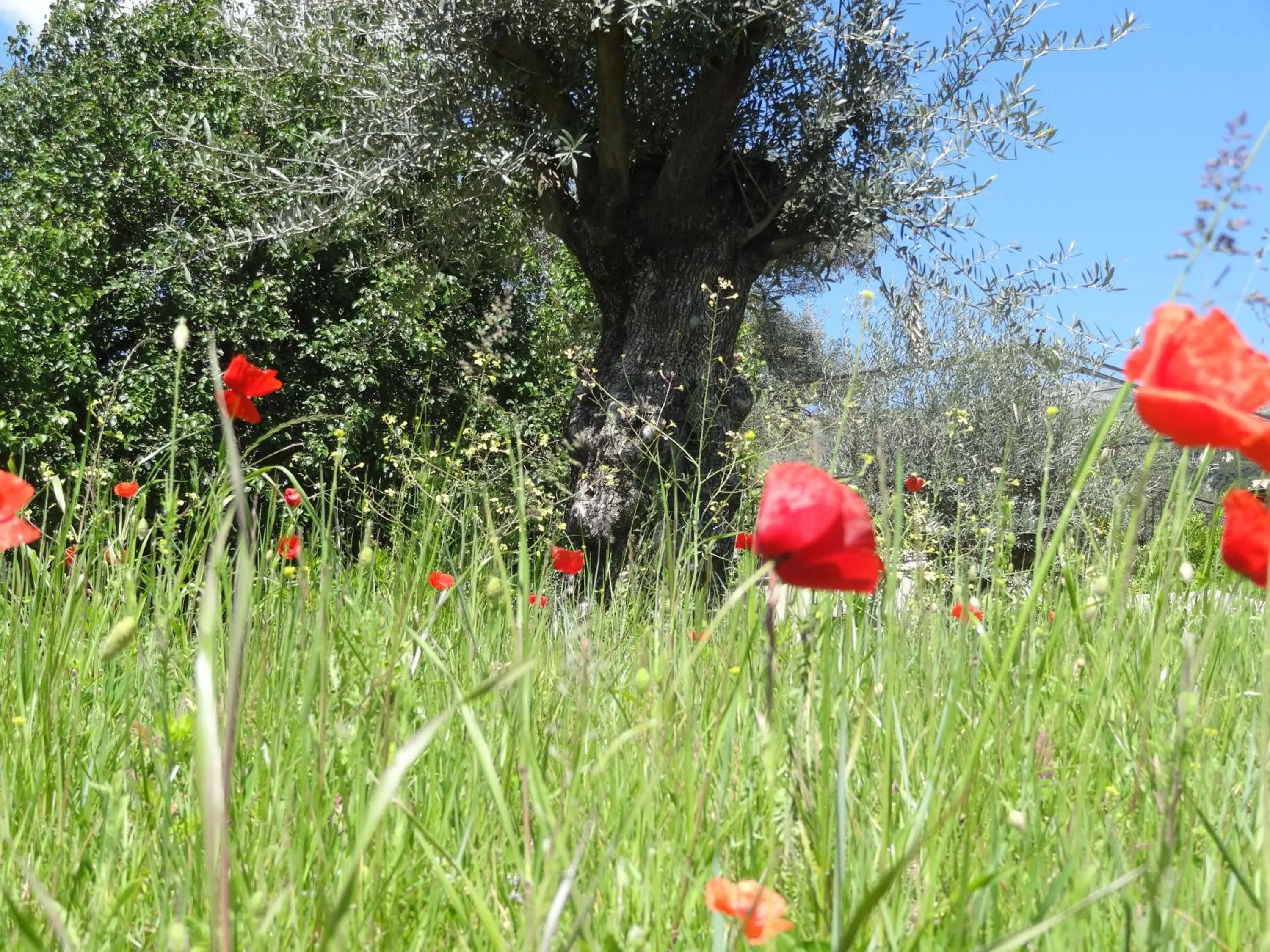 Day in Les 4 éléments