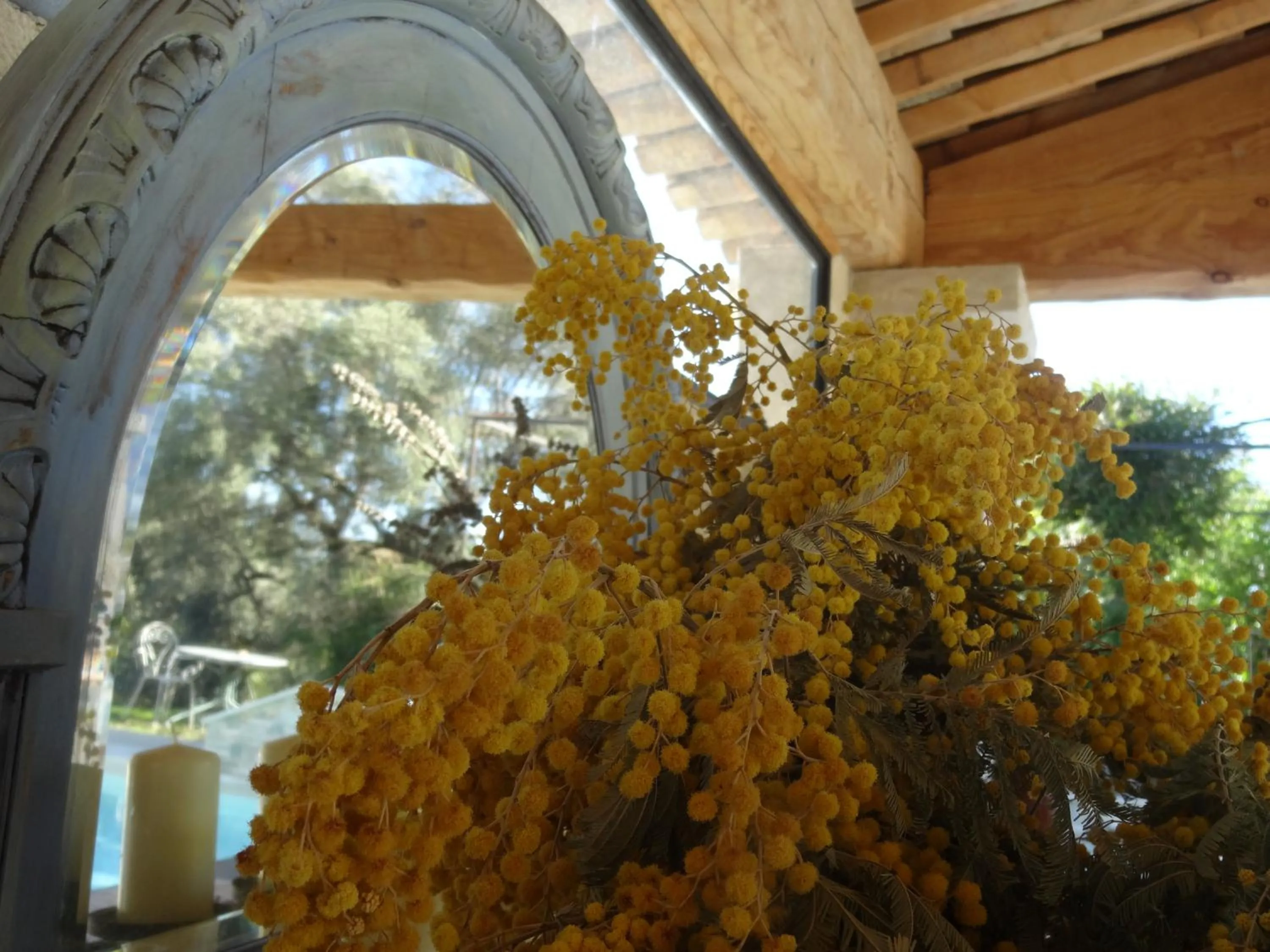 Balcony/Terrace in Les 4 éléments