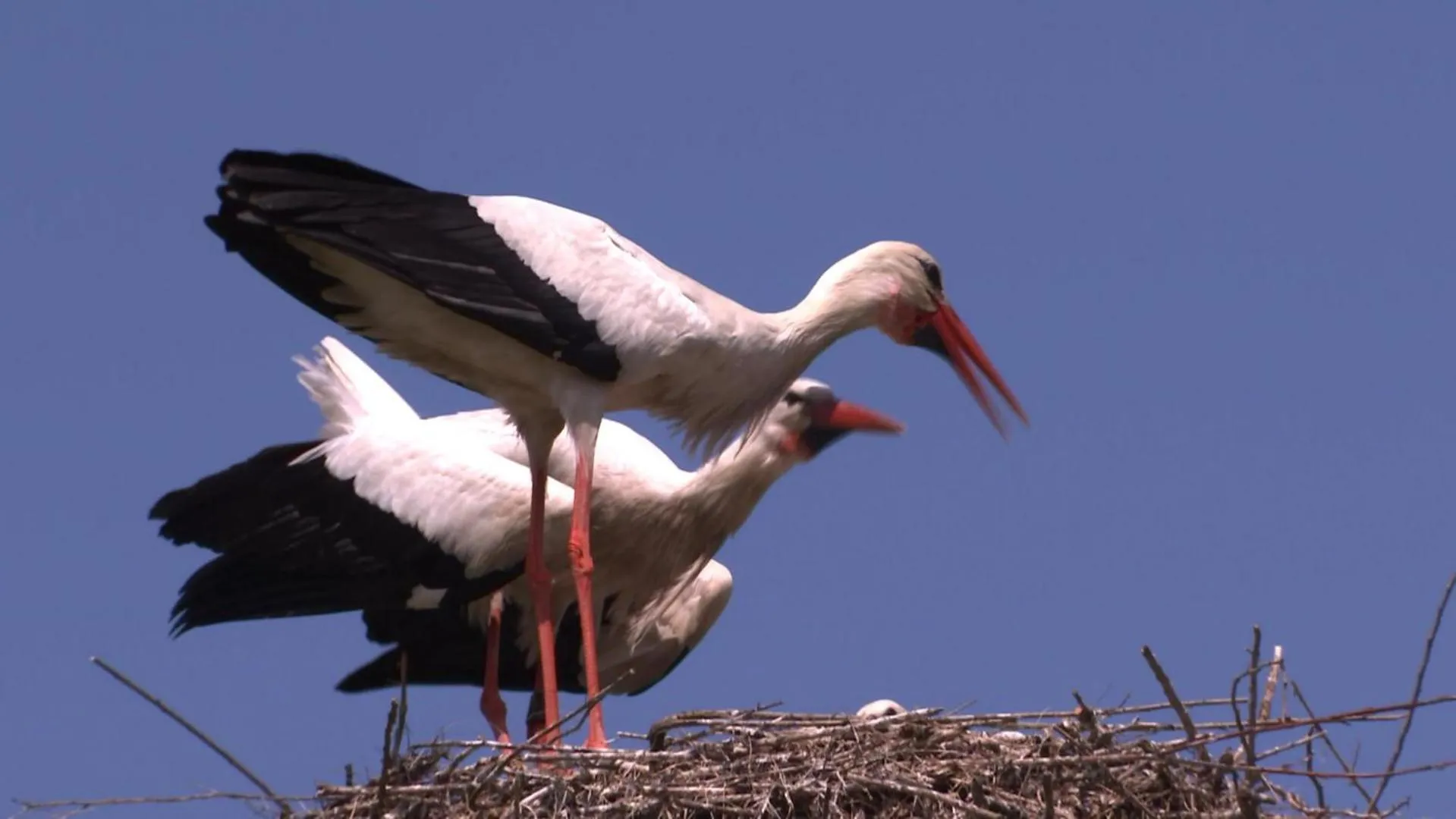 Natural landscape in Suite & Wellness