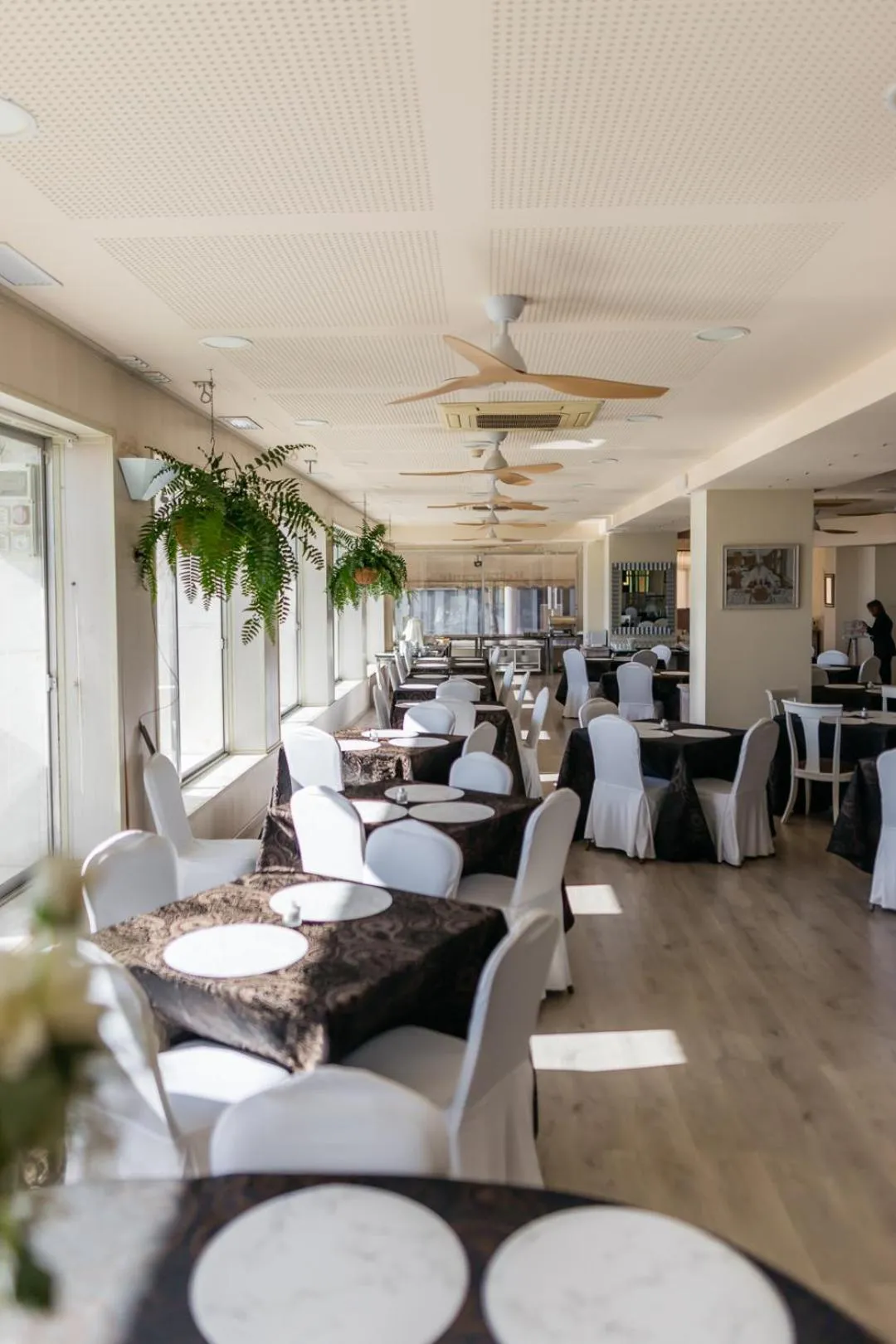 Restaurant/places to eat in Hotel Polamar