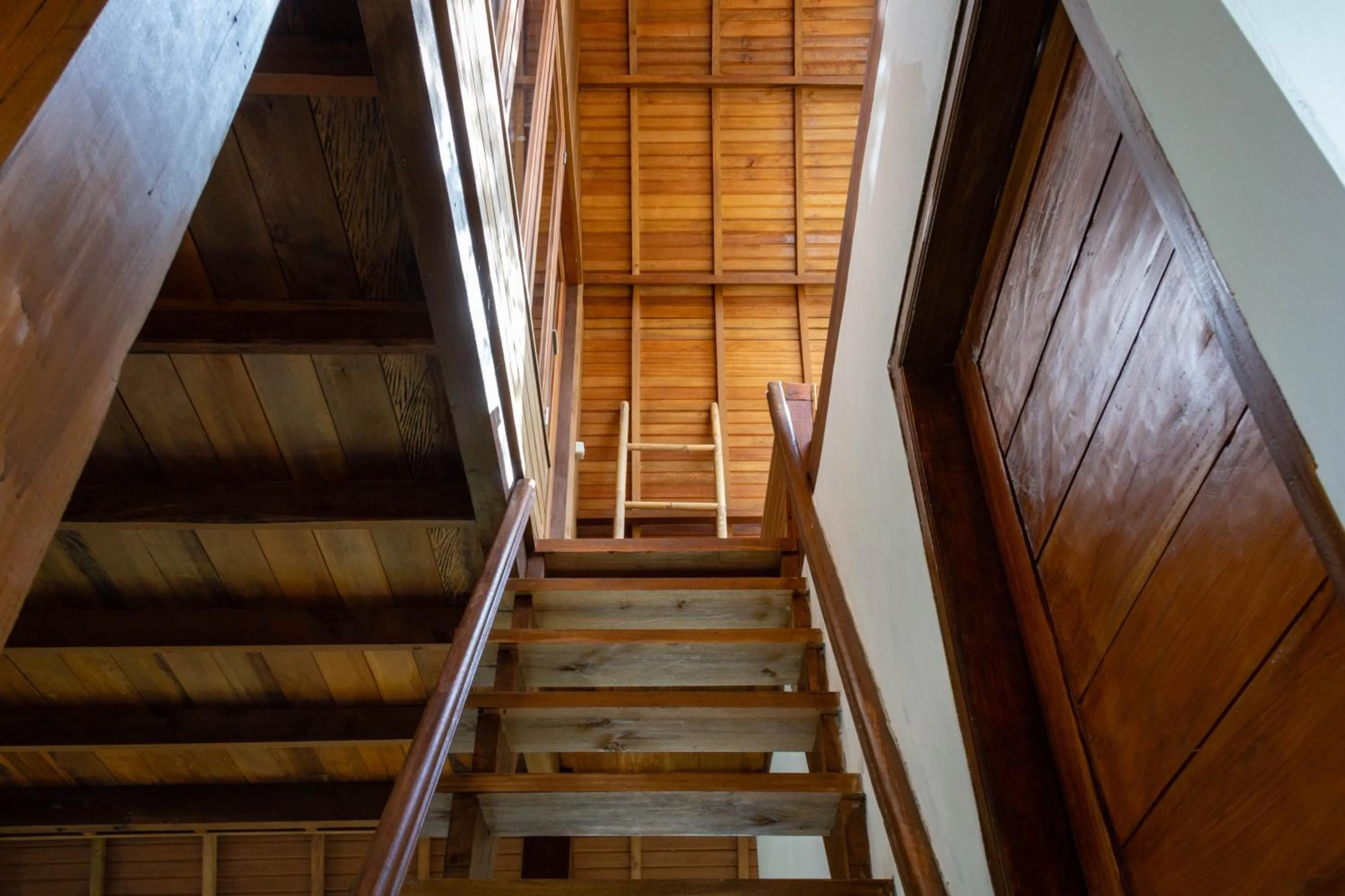 Facade/entrance in Majango Bungalows