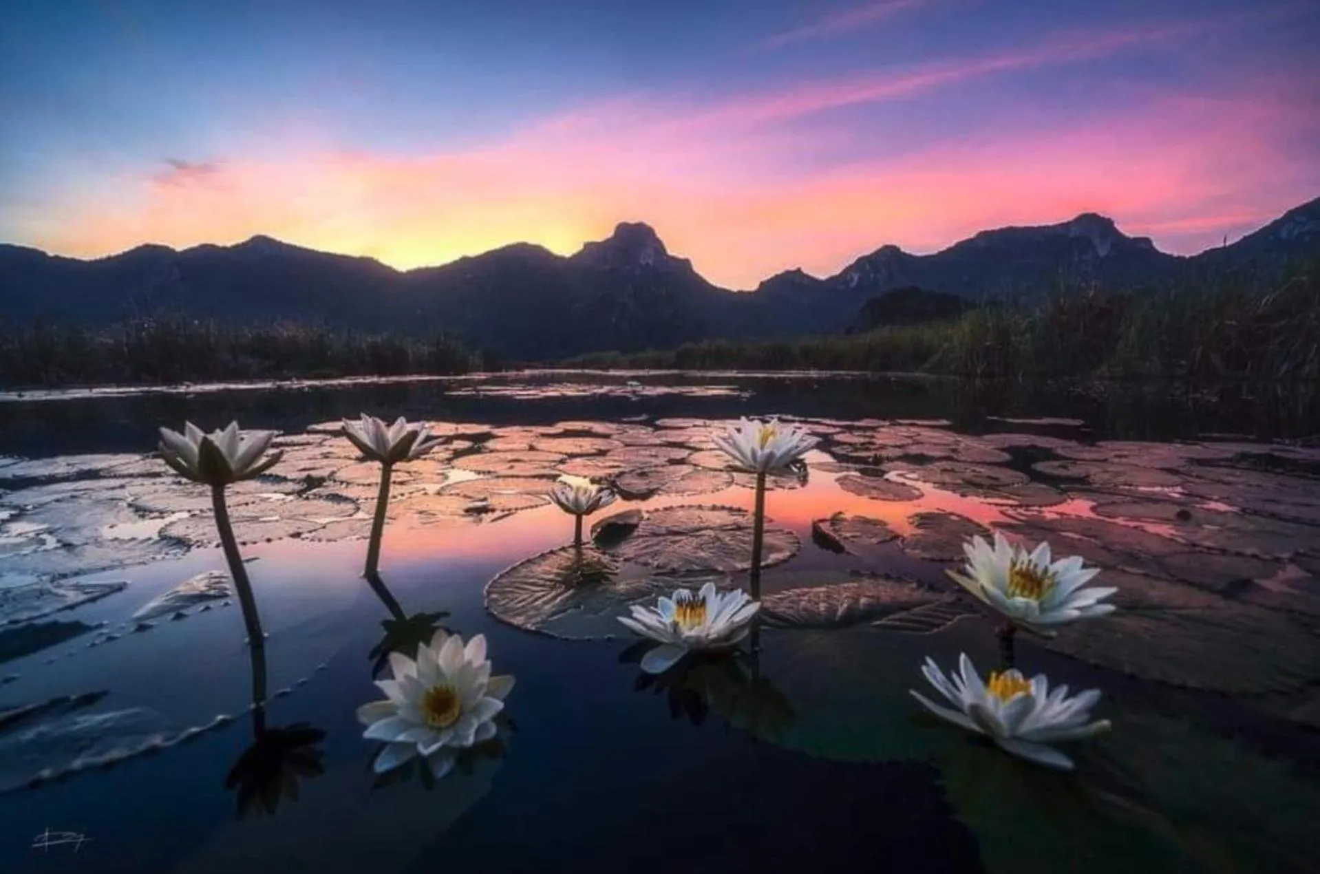 Nearby landmark in Namaste resort