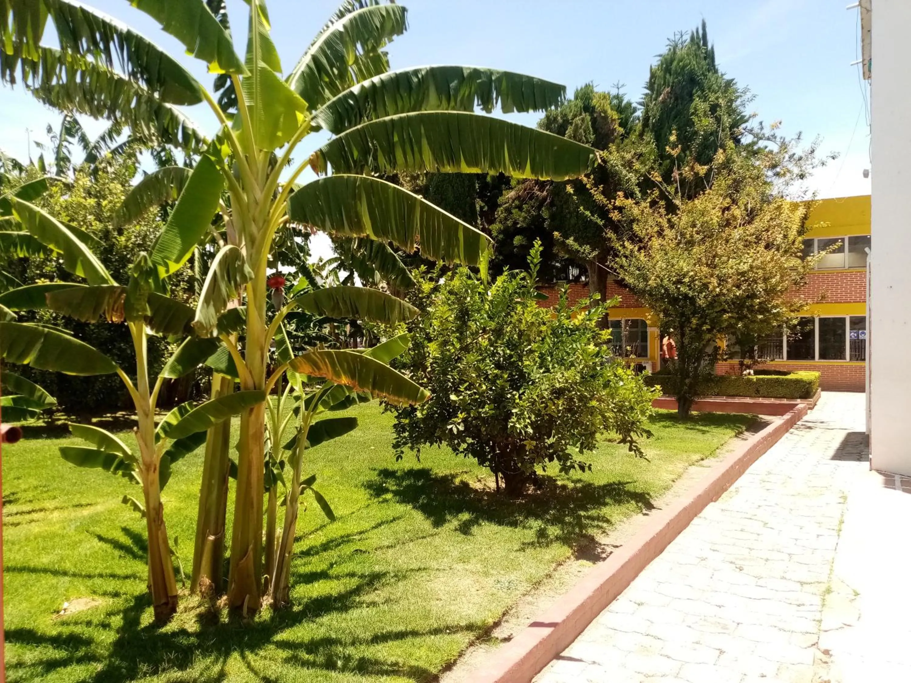 Property building in Hotel Cipreses