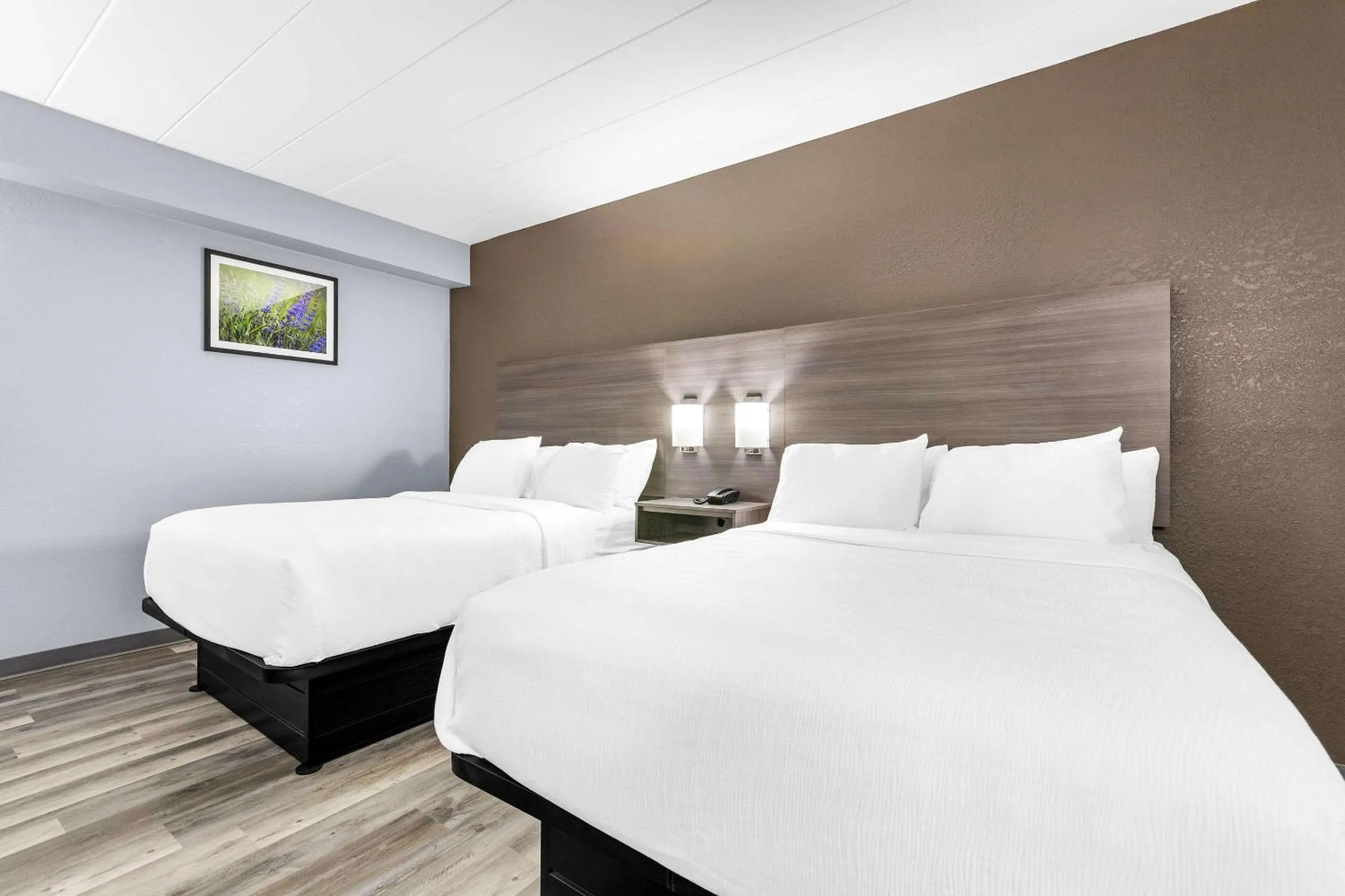 Bedroom, Bed in Quality Inn Lawrenceburg