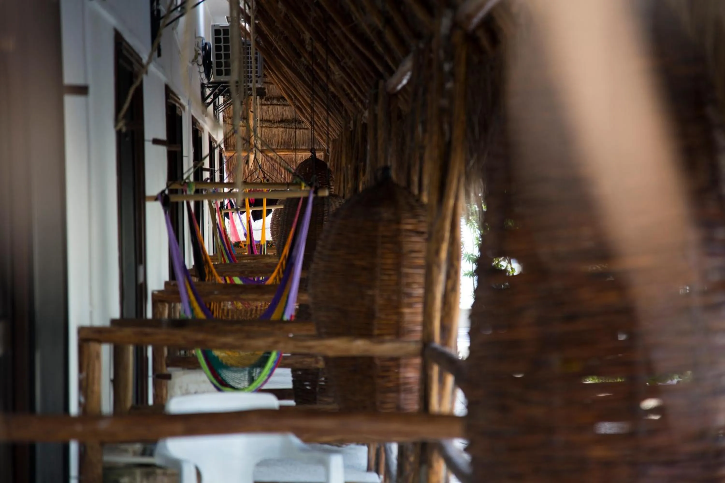 Area and facilities in 40 Cañones