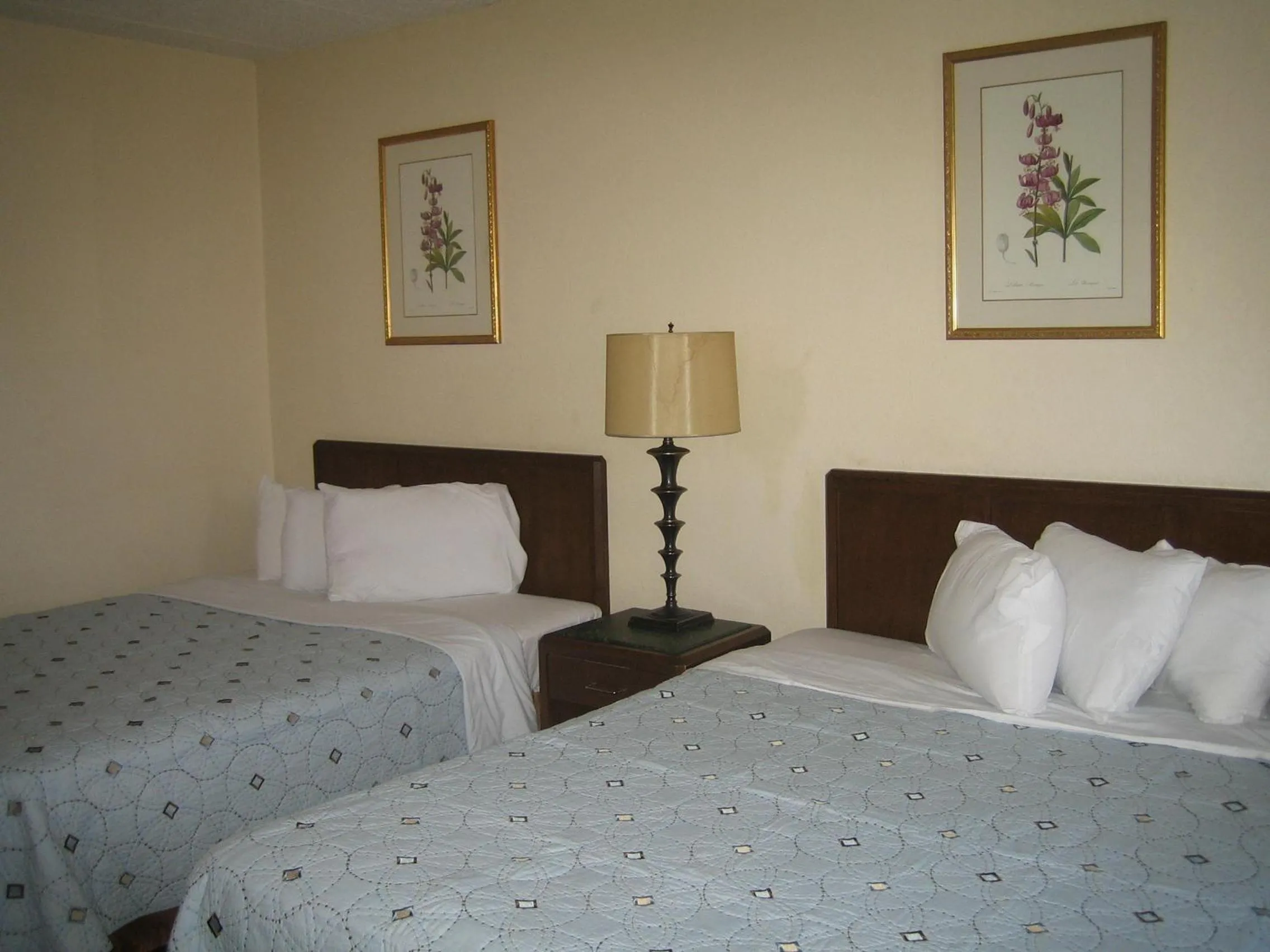 Bedroom, Bed in Knights Inn Litchfield