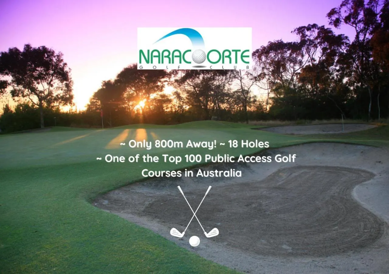 Natural landscape in William Macintosh Motor Lodge