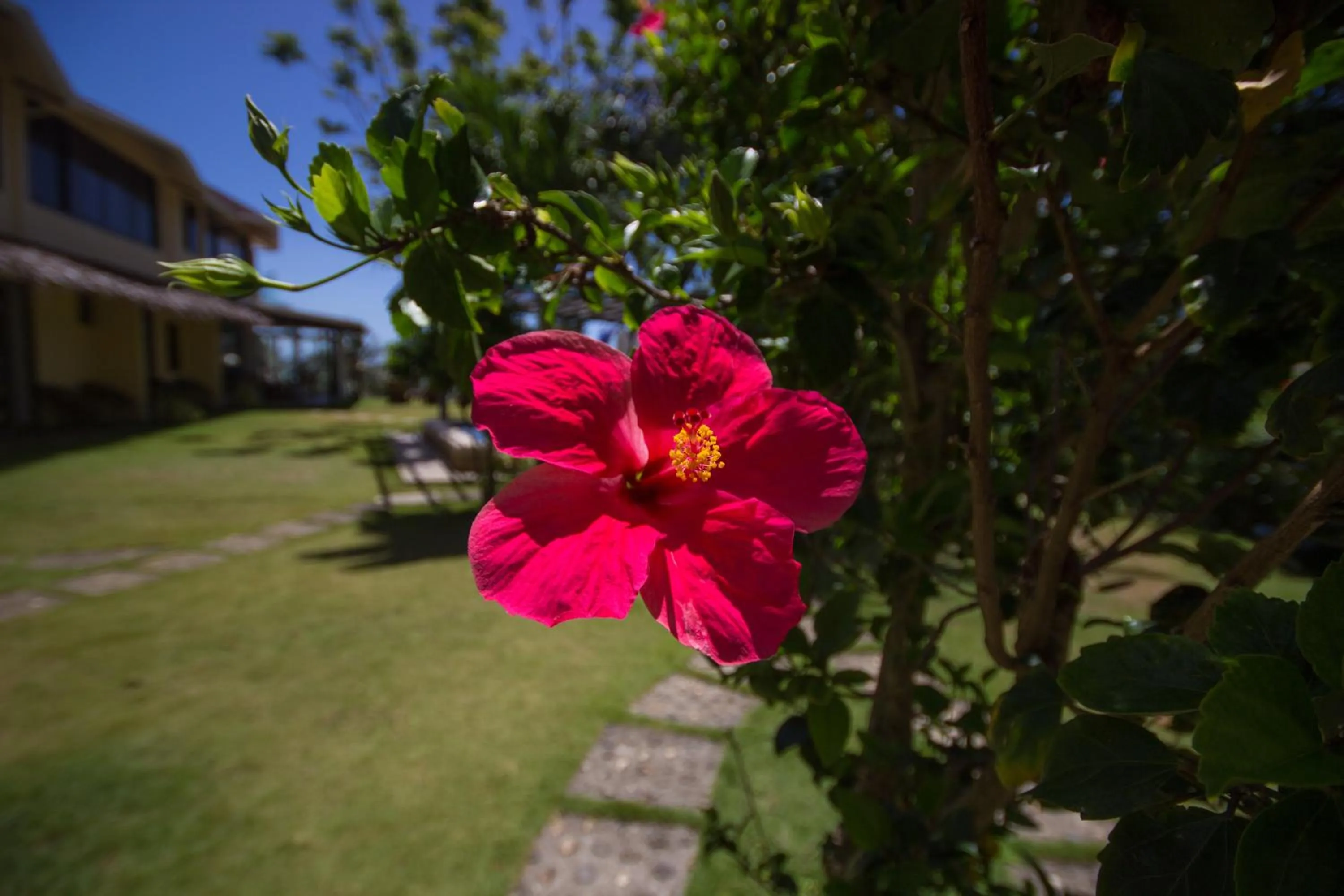 Garden in Ralph's Place