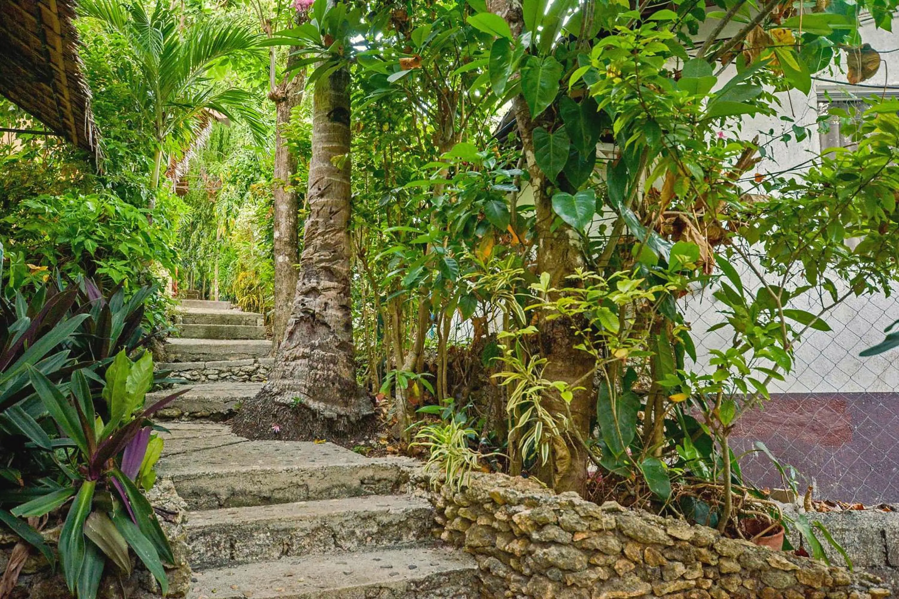 Natural landscape in Ralph's Place