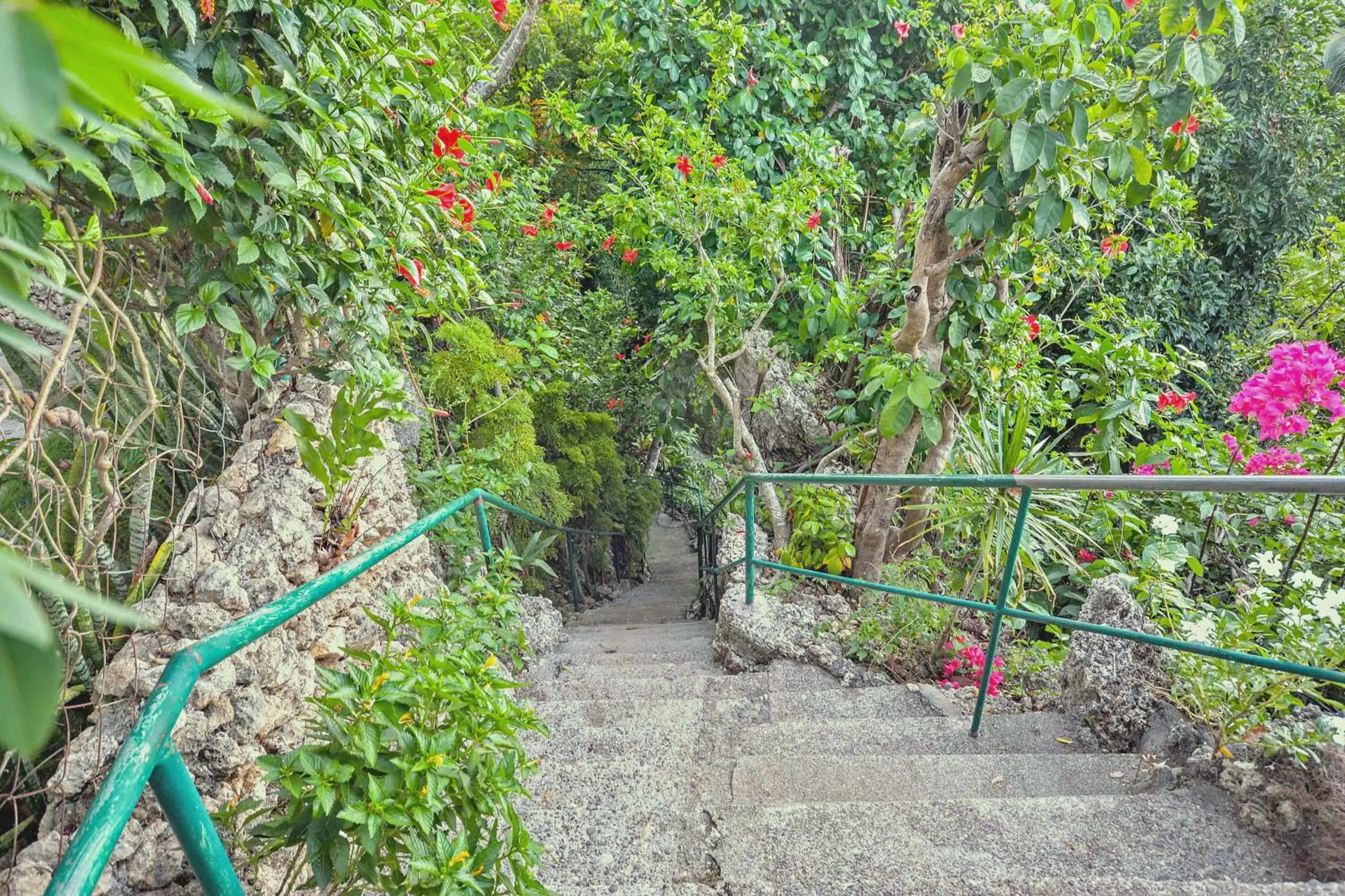 Natural landscape in Ralph's Place