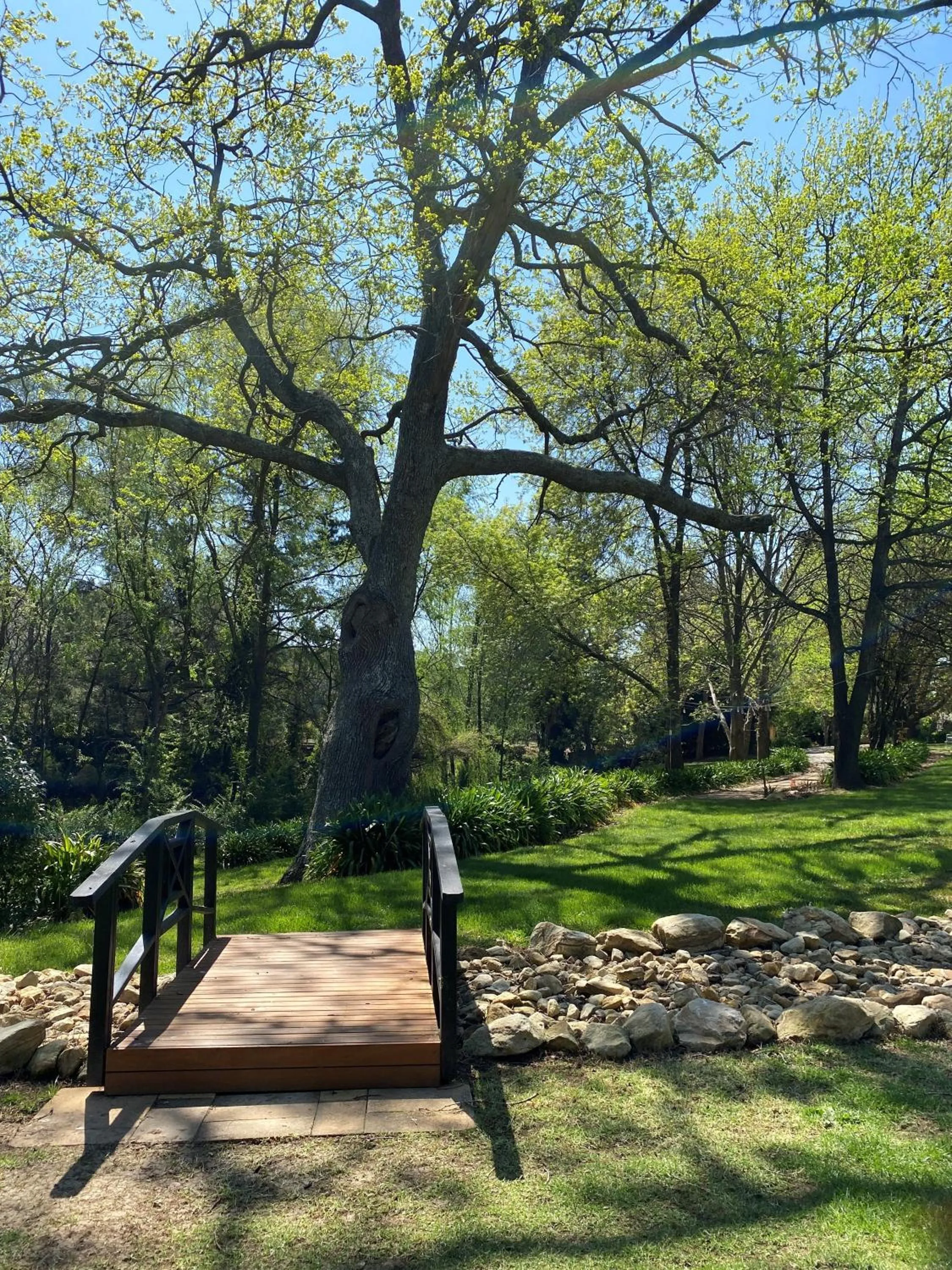 Natural landscape in Fitzroy Inn Historic Retreat Mittagong
