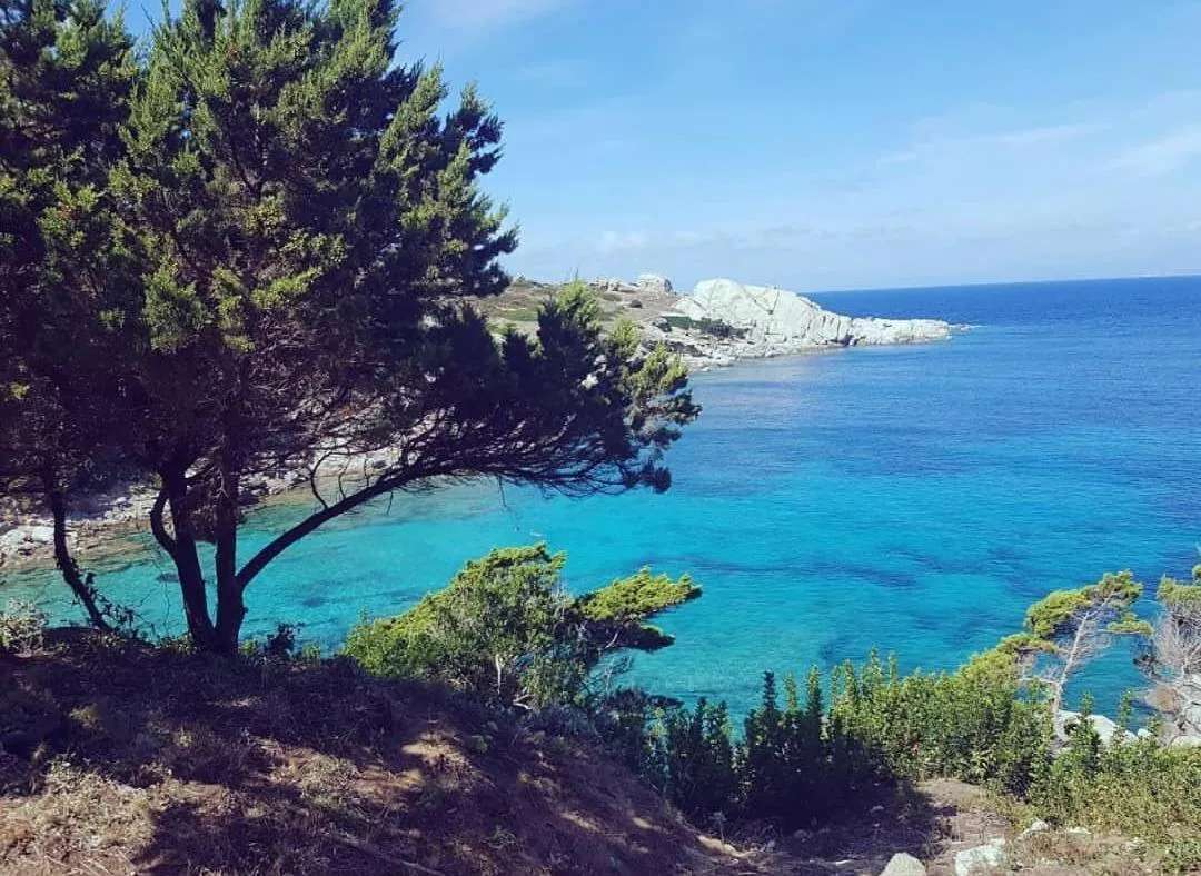 Natural landscape in Unique Art