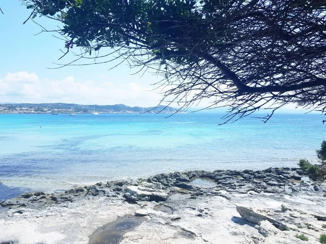 Natural landscape in Unique Art