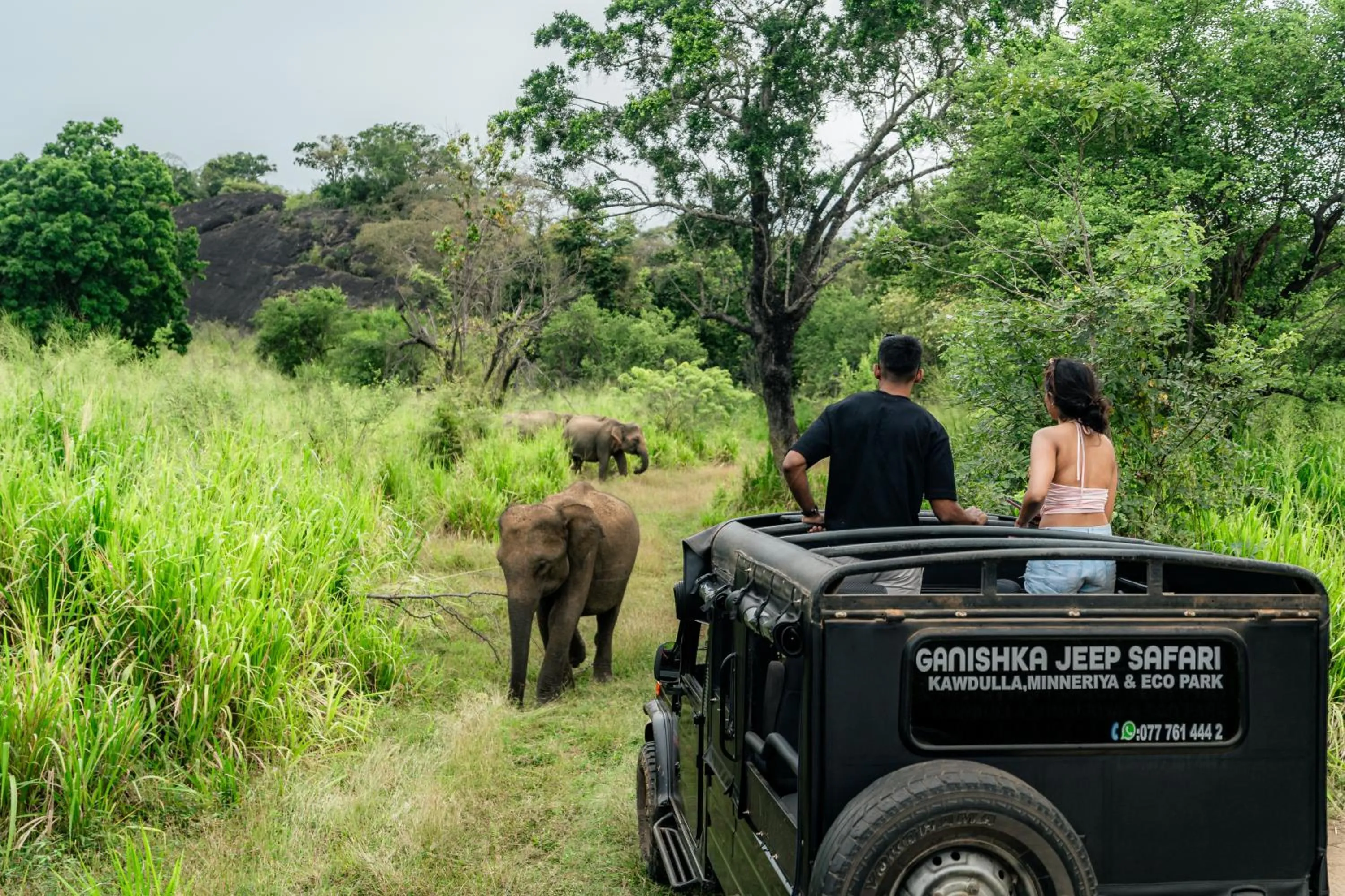 Activities in Hotel Sudu Araliya