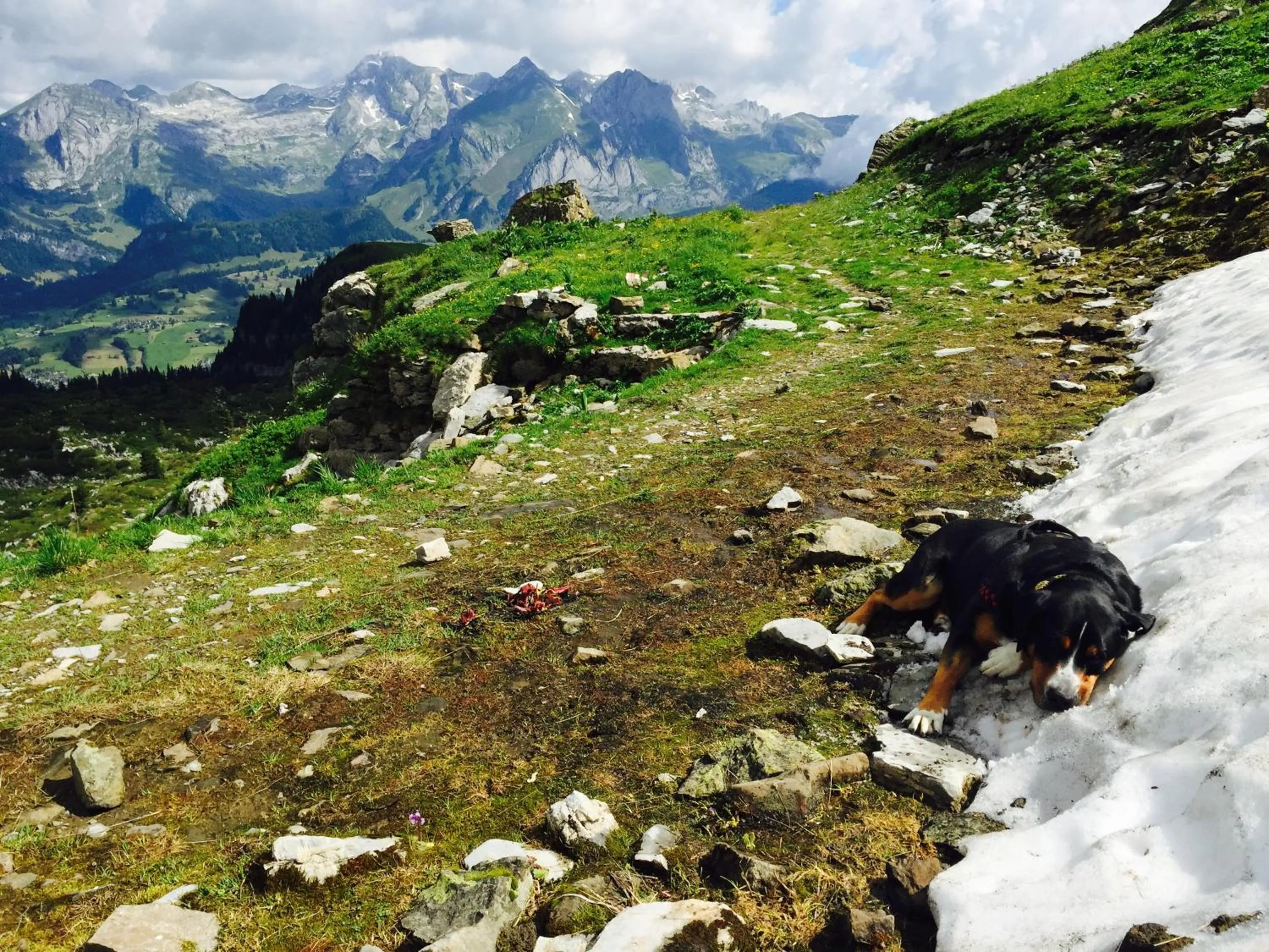 Hiking in Zimmer & z'Morgä Schönenboden