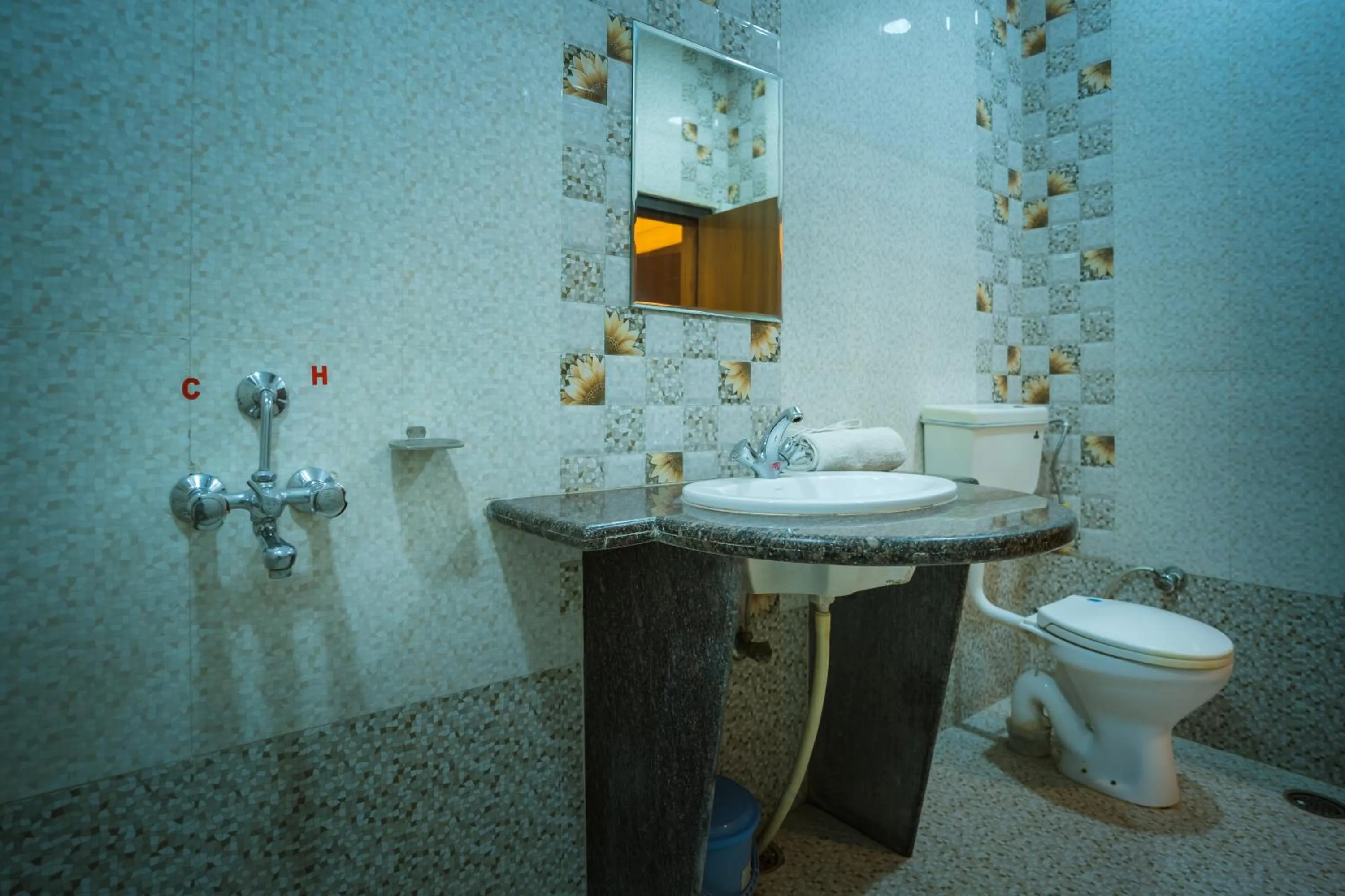 Shower in Hotel Akashdeep - Located City Centre