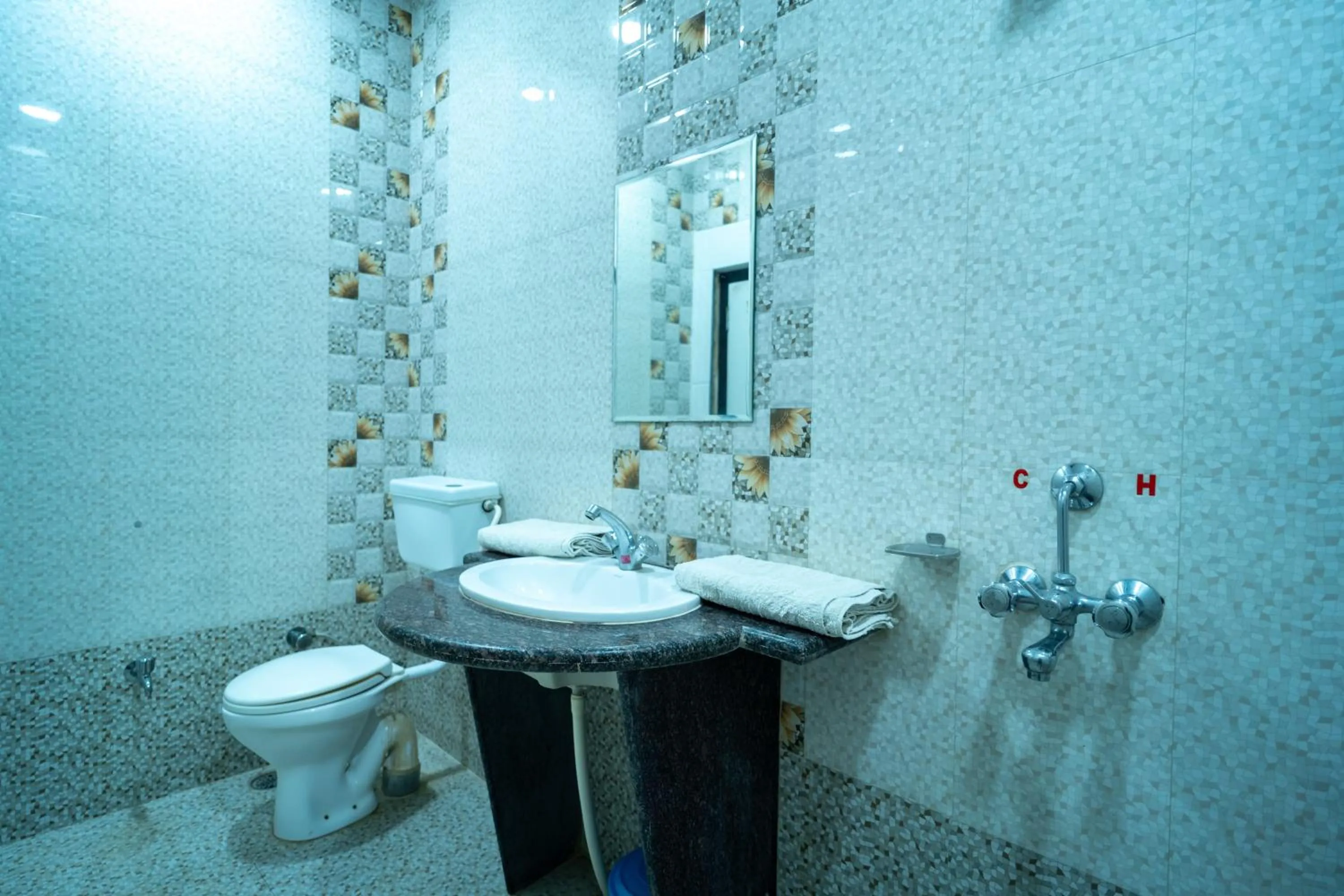 Shower in Hotel Akashdeep - Located City Centre