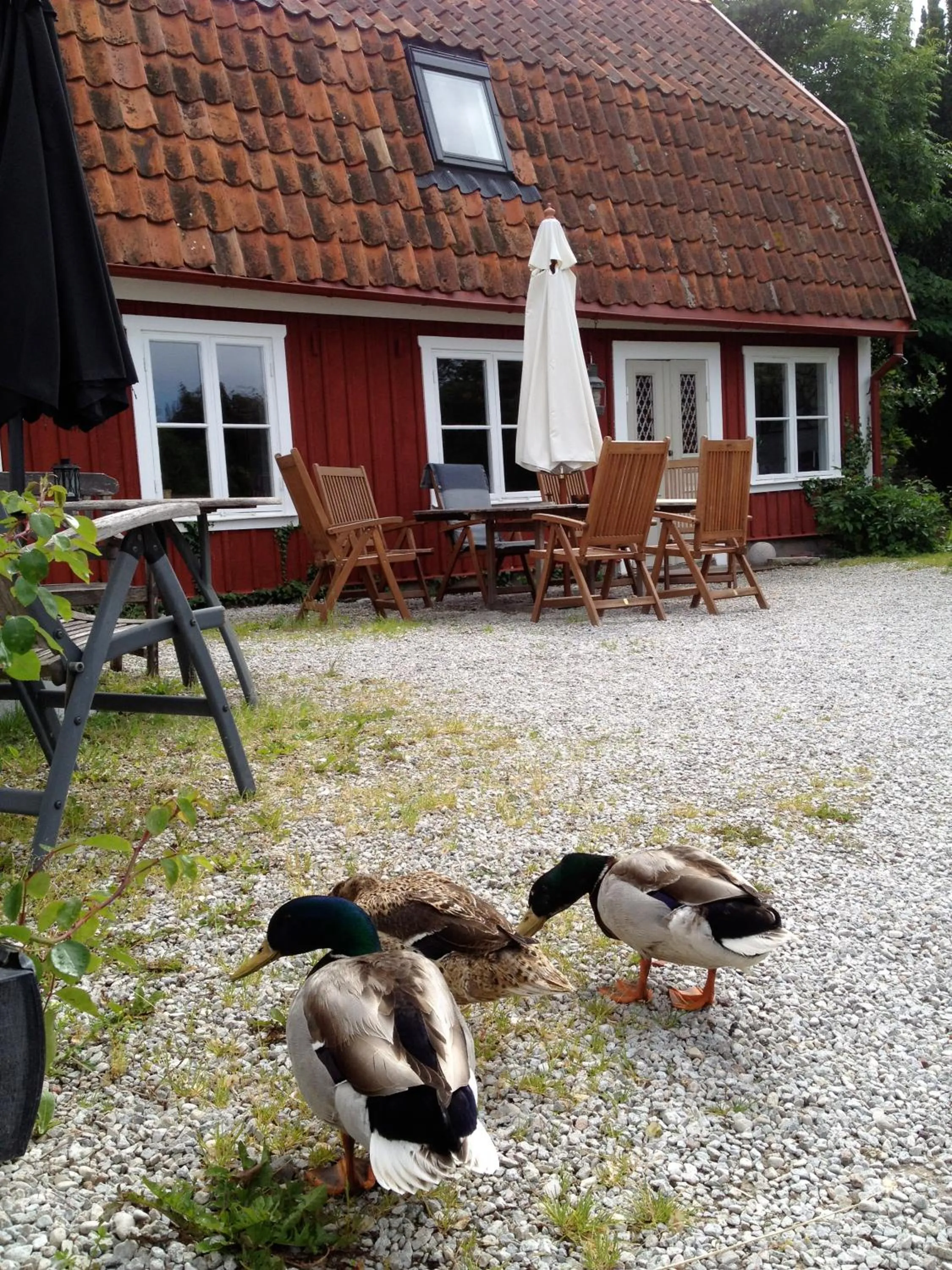 Property building in Mullbärsgårdens Bed and Breakfast
