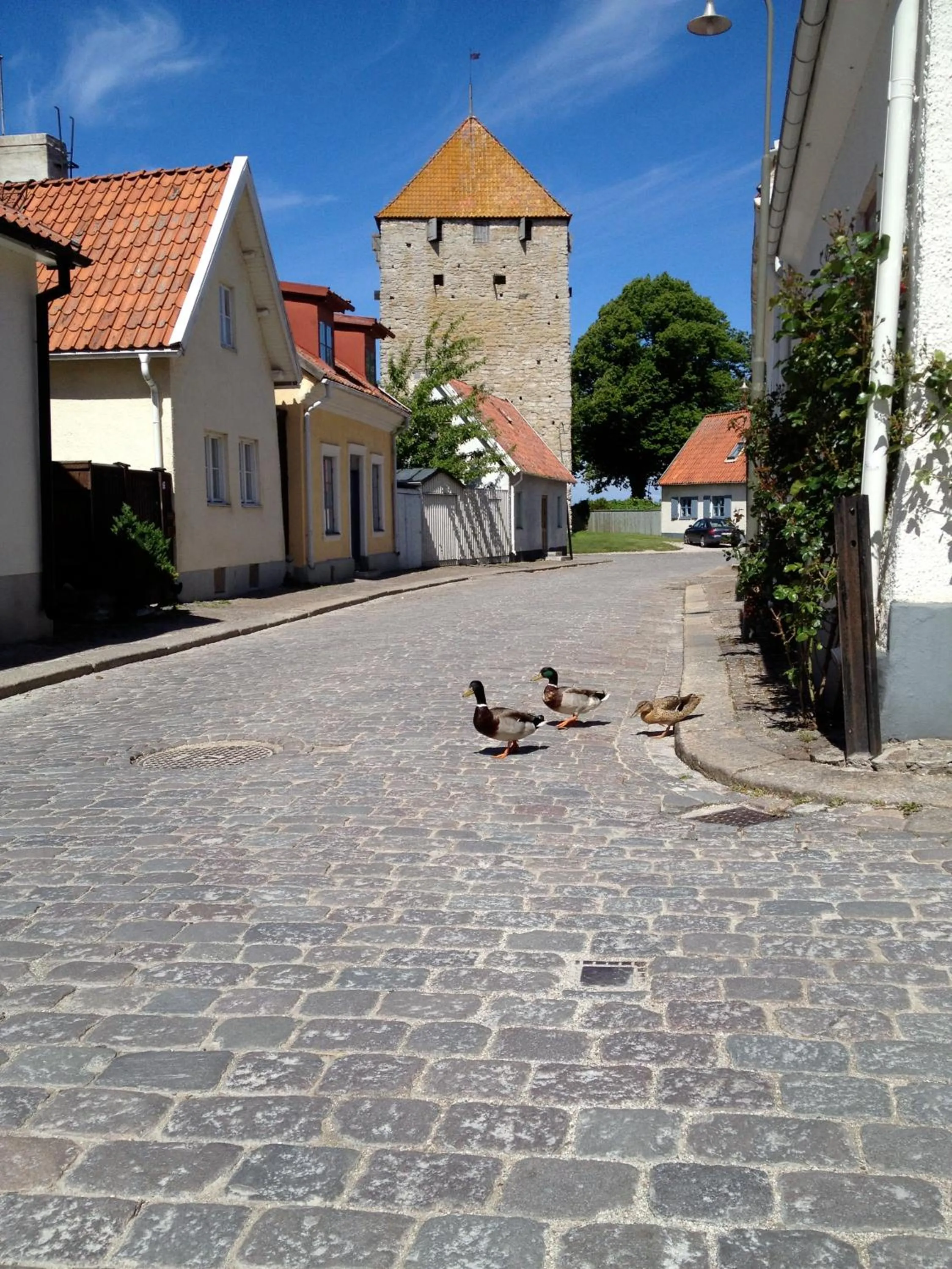 Decorative detail in Mullbärsgårdens Bed and Breakfast
