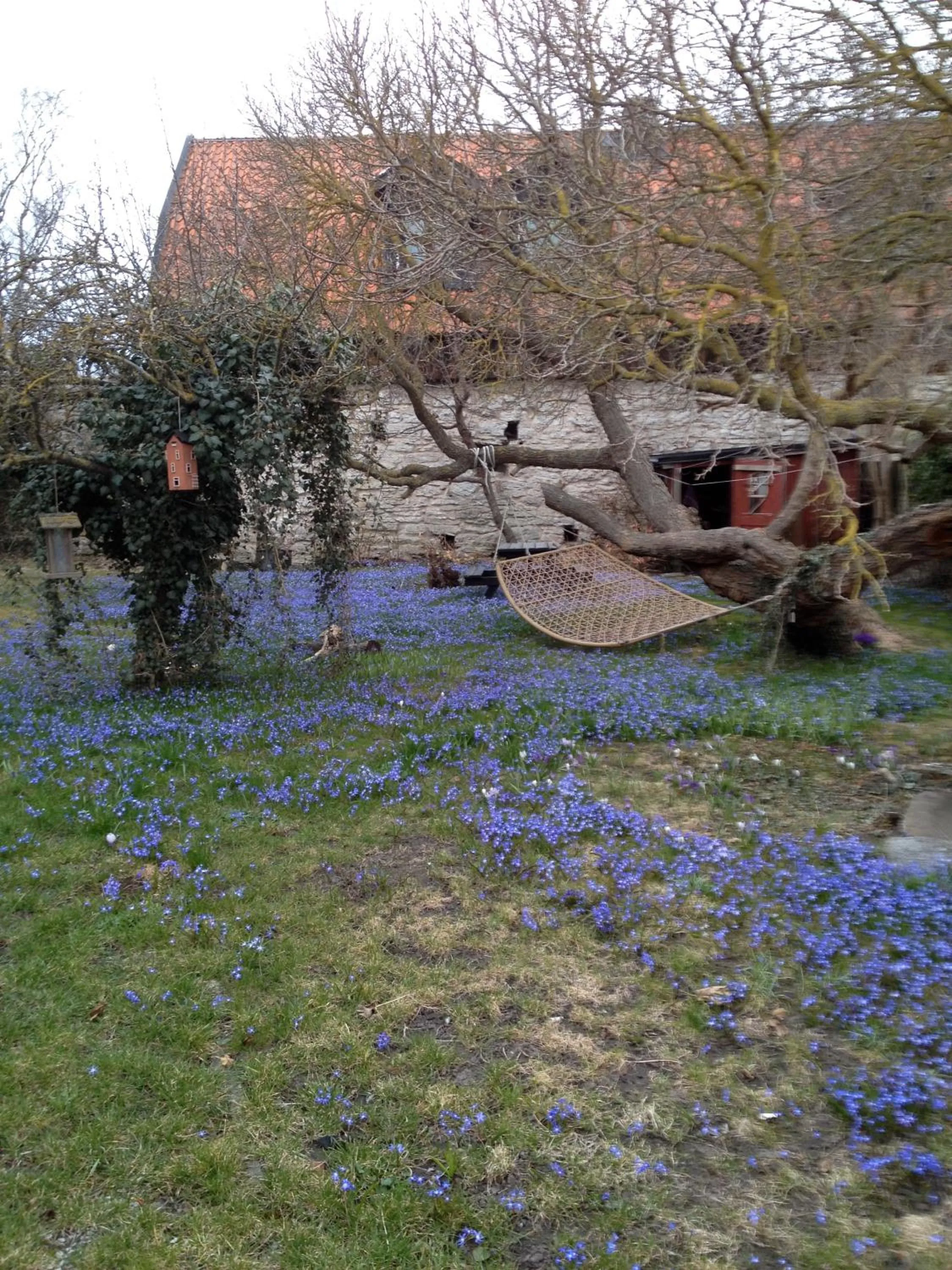 Garden in Mullbärsgårdens Bed and Breakfast