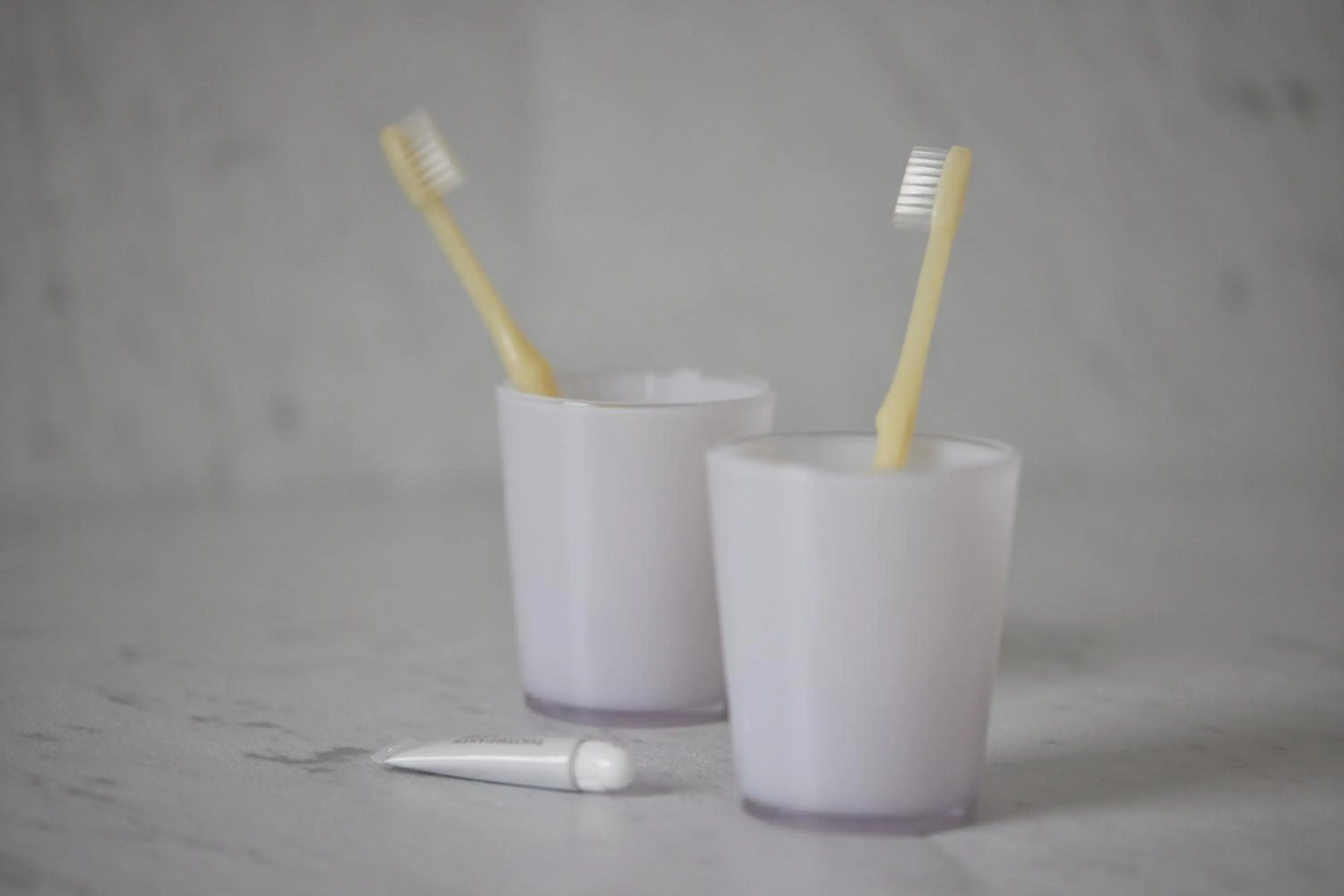 Photo of the whole room in Kobe Motomachi Tokyu REI Hotel