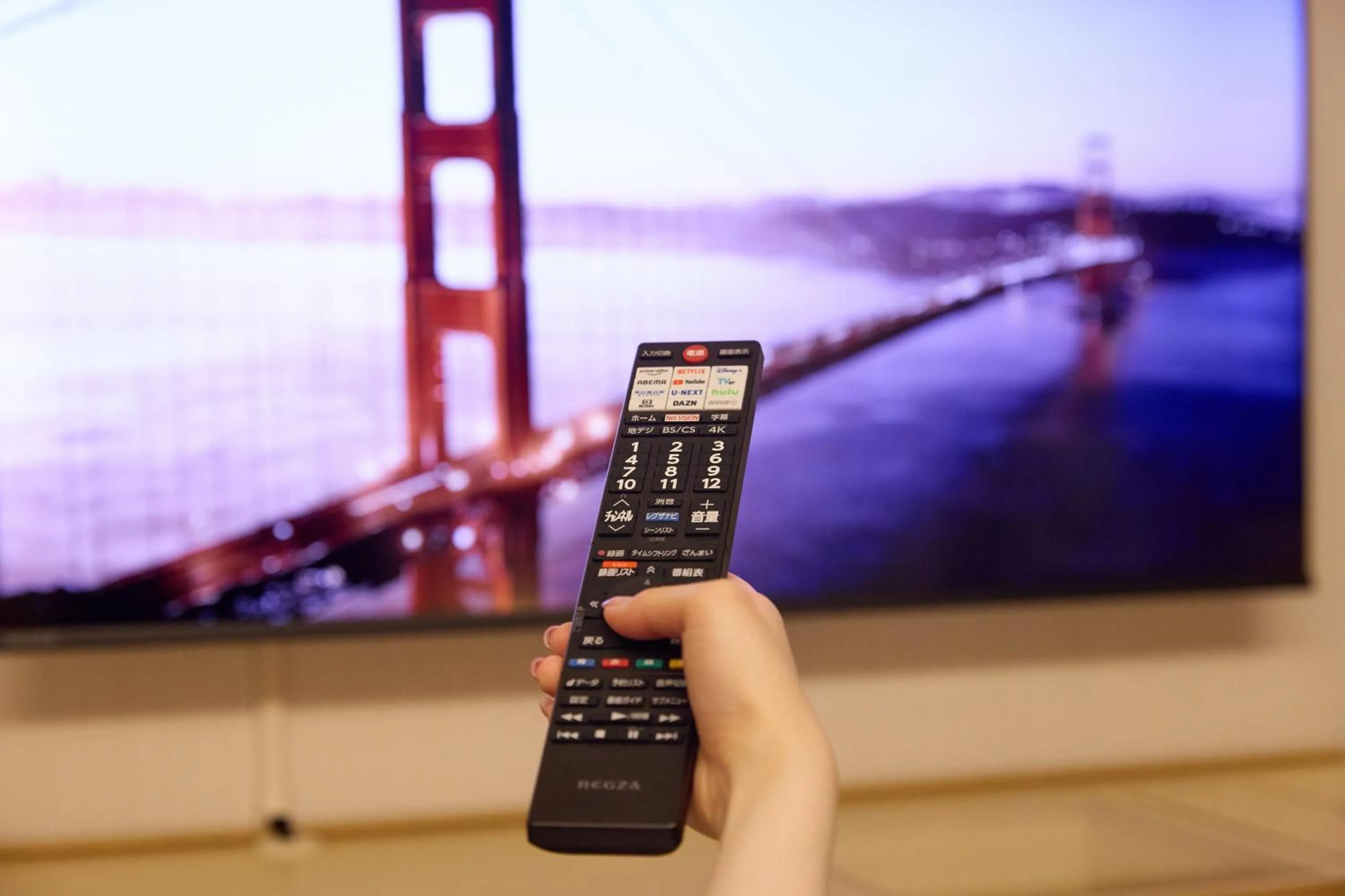 TV and multimedia in Kobe Motomachi Tokyu REI Hotel