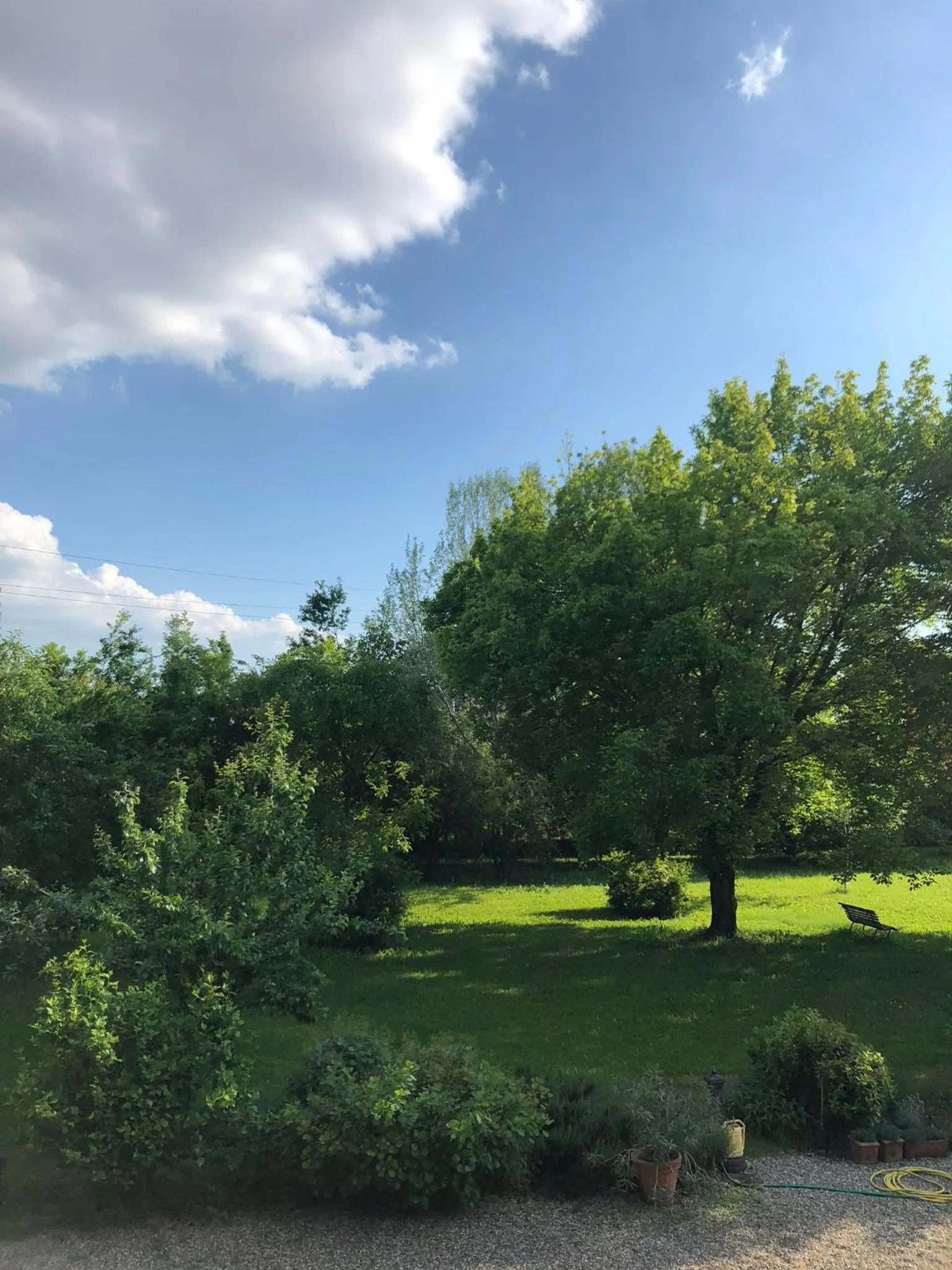 Garden in B&B Podere Merlo