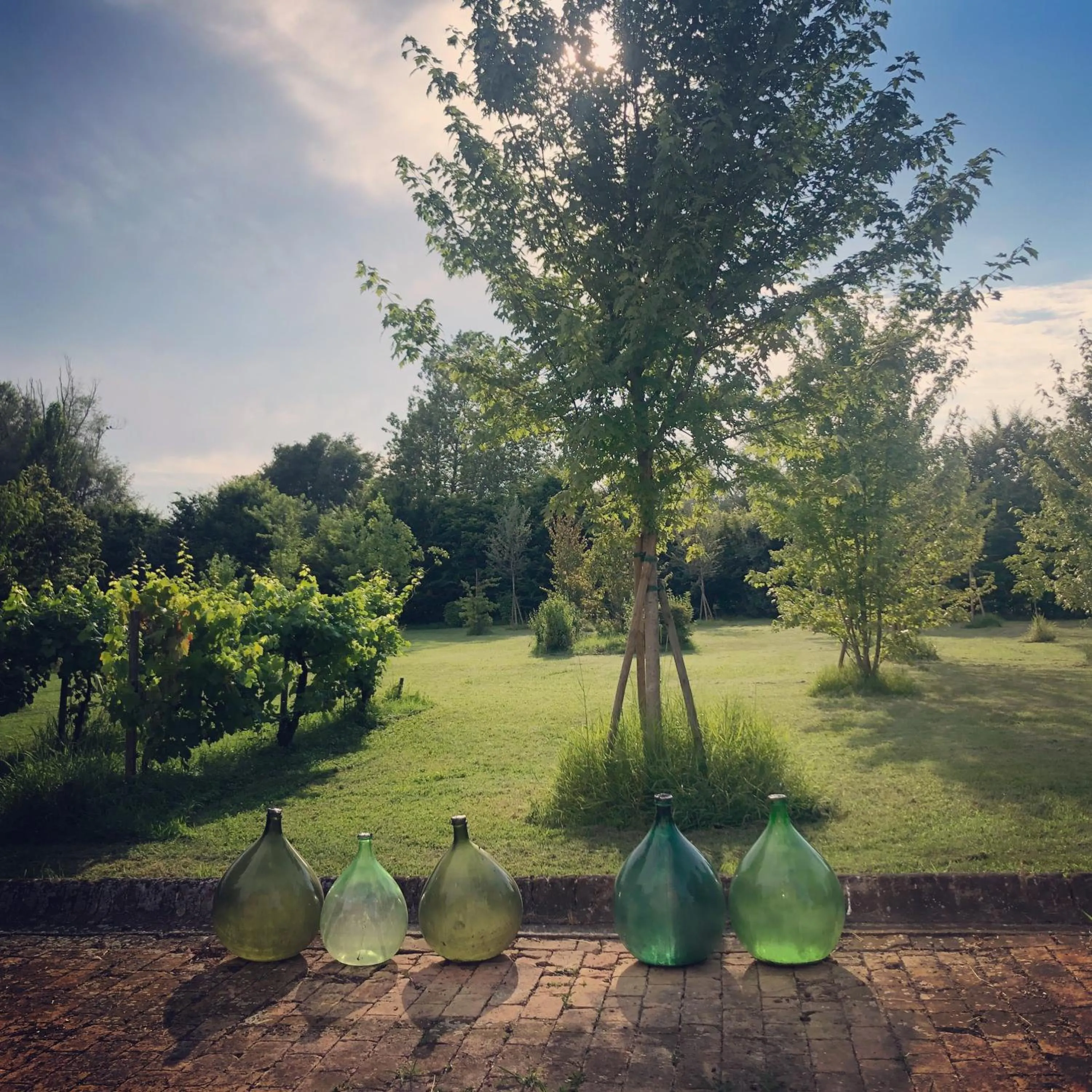 Garden in B&B Podere Merlo
