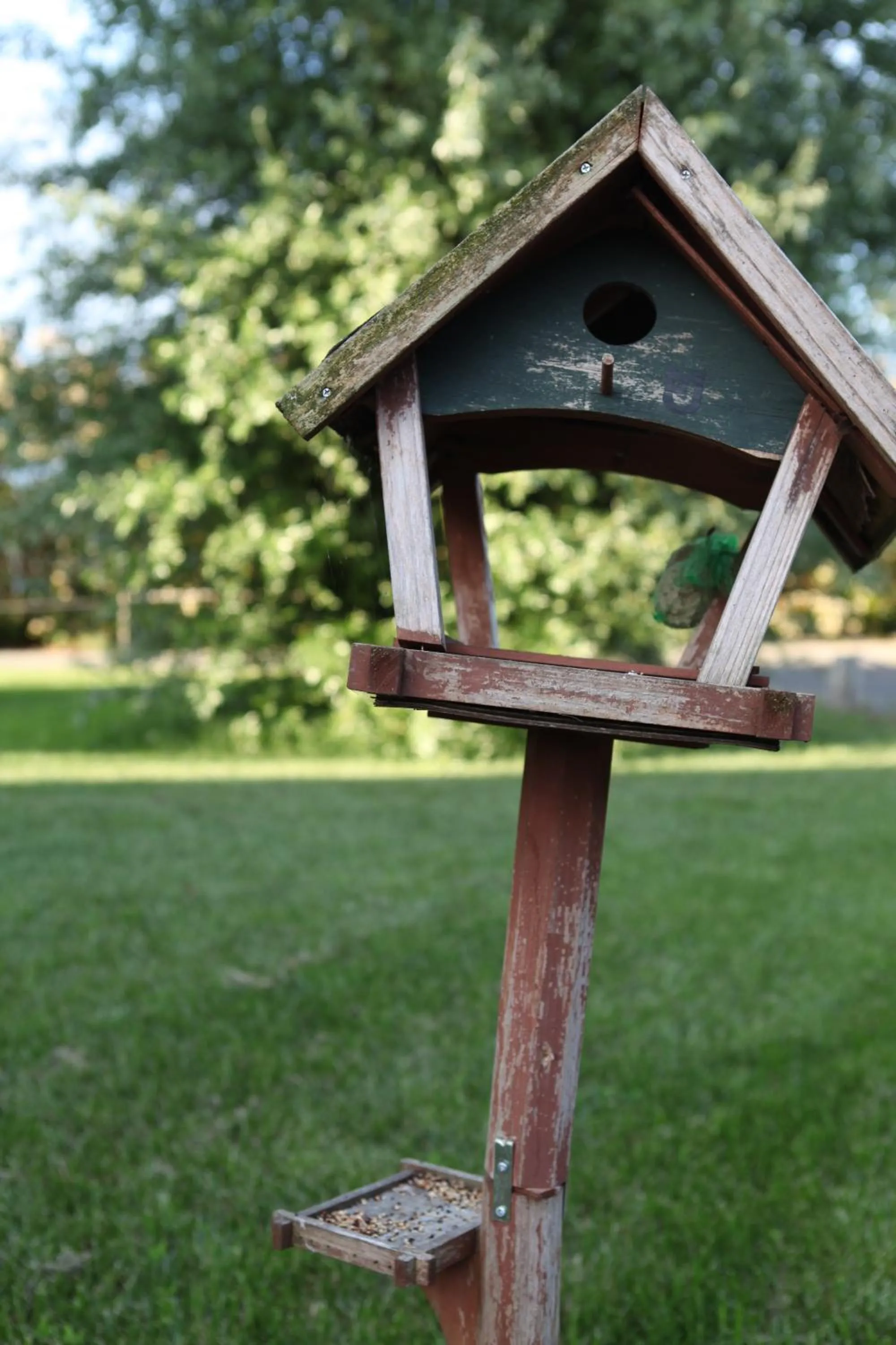 Garden in B&B Podere Merlo