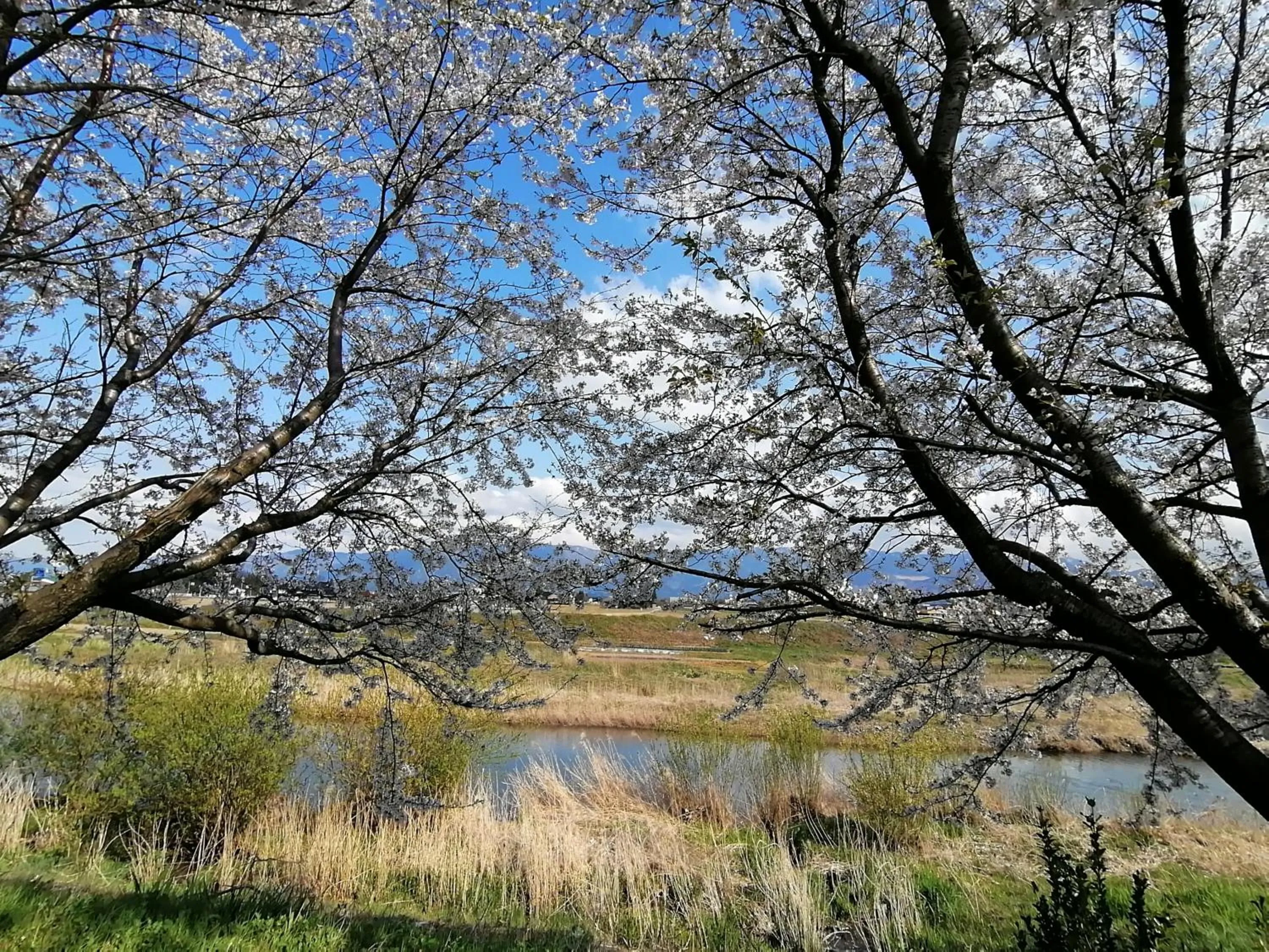 Off site in Guesthouse Kazura