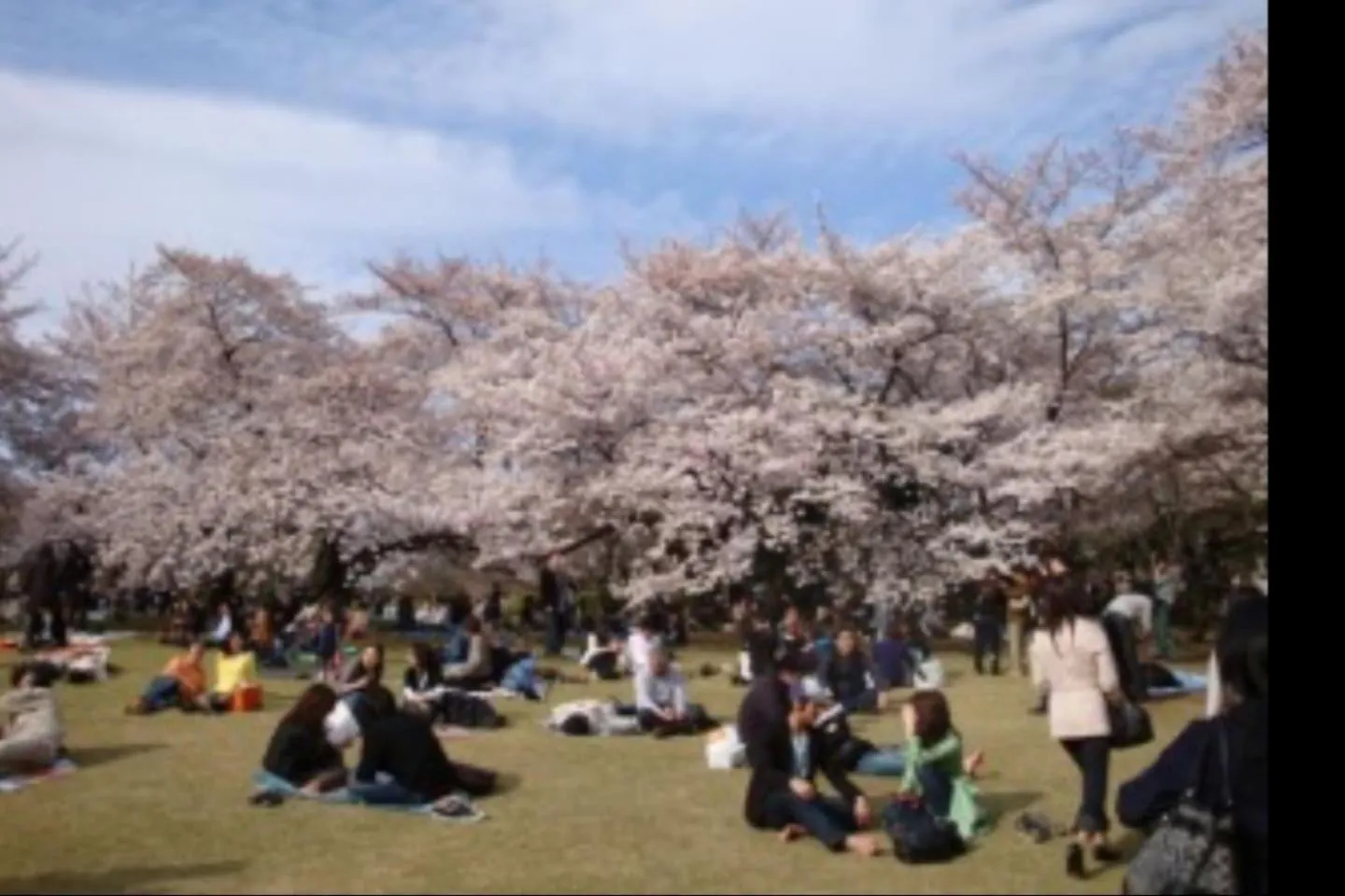 Spring in Hotel EL Shinjuku 1 free parking