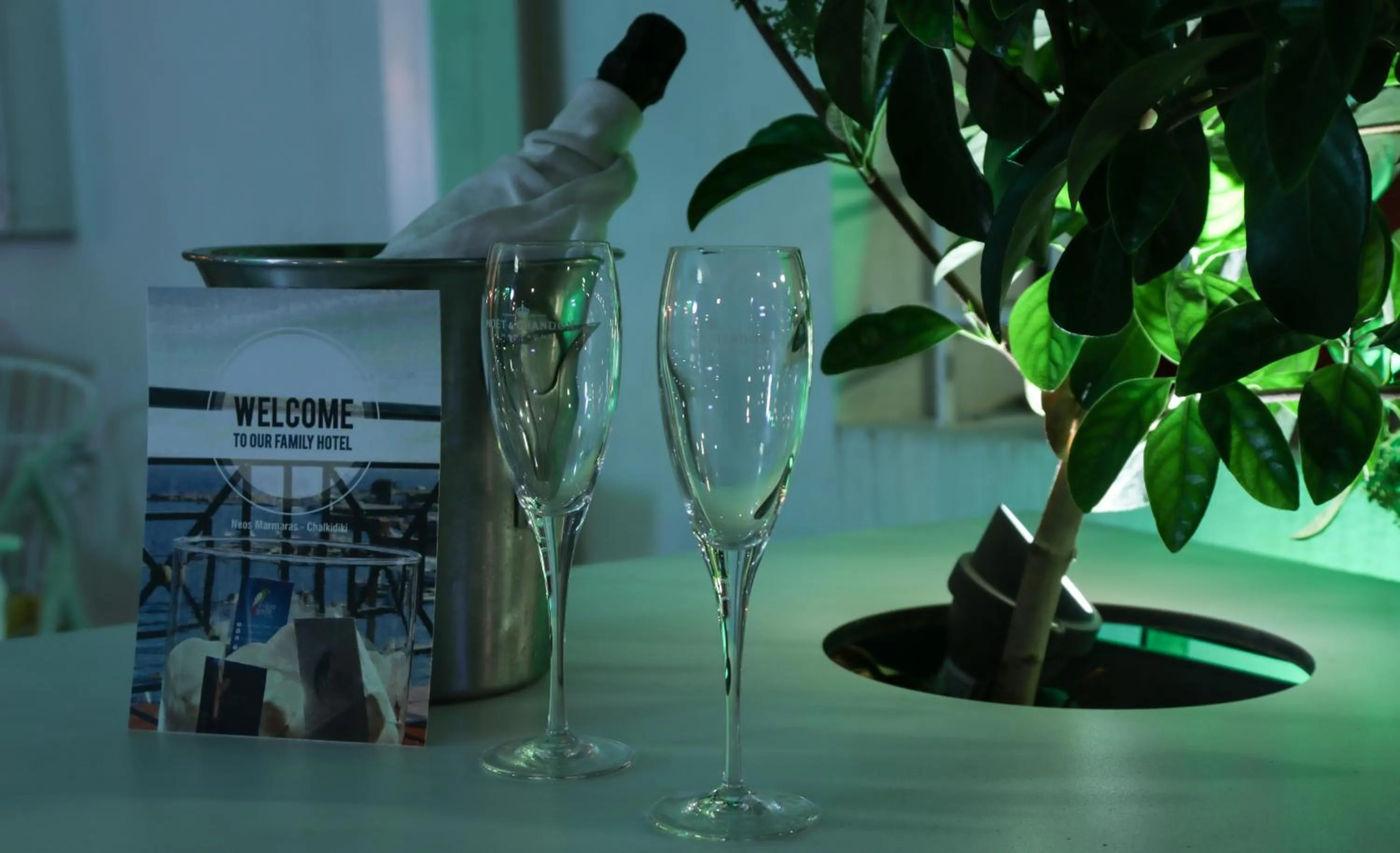 Lounge or bar in Hotel Papagalos