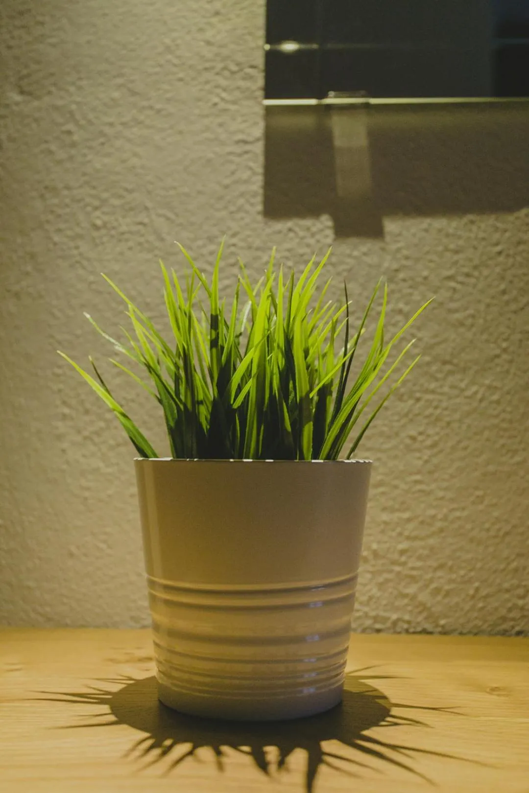 Decorative detail in Hotel Papagalos