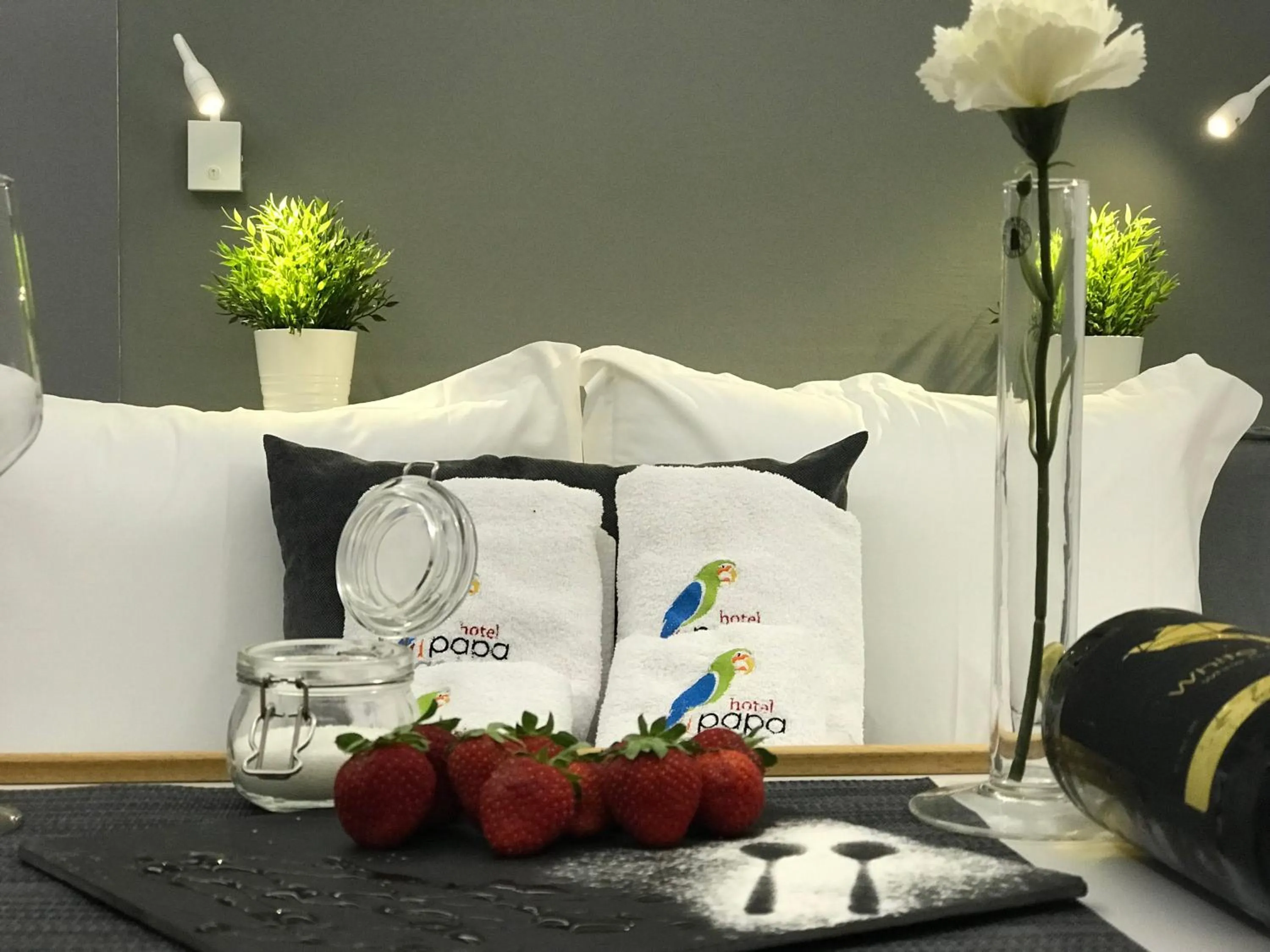 Property logo or sign in Hotel Papagalos