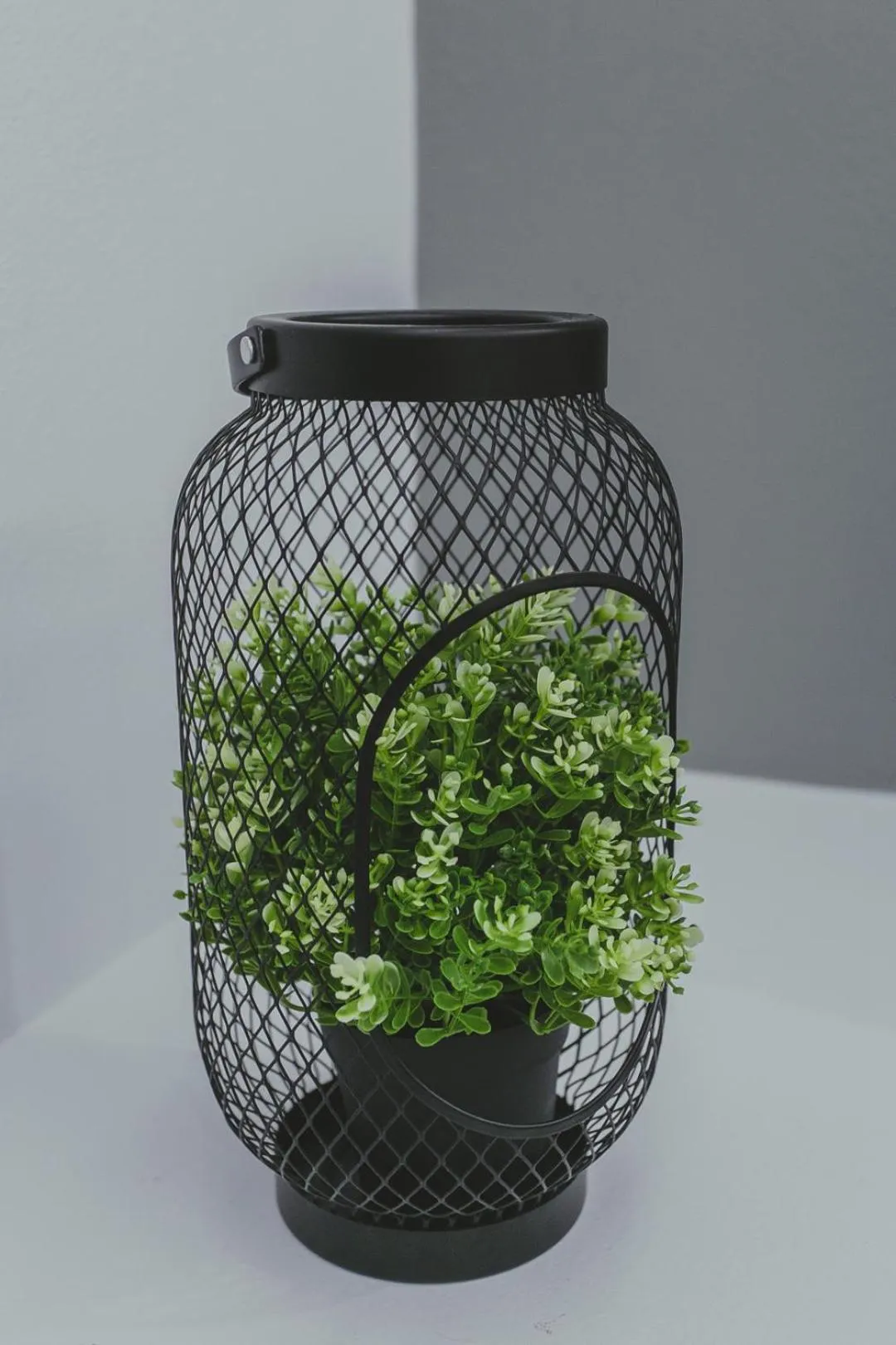 Decorative detail in Hotel Papagalos