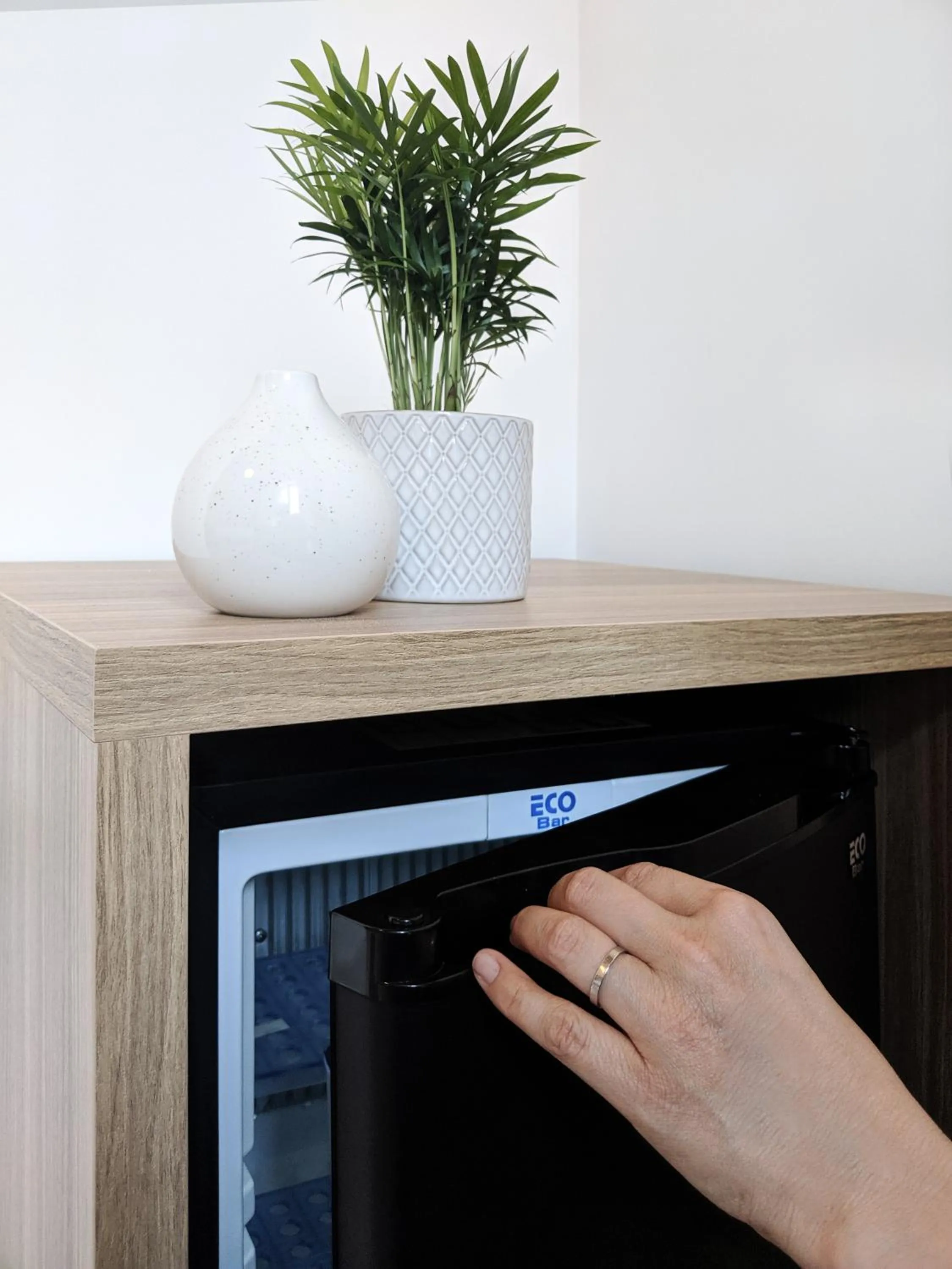 Original Domino House