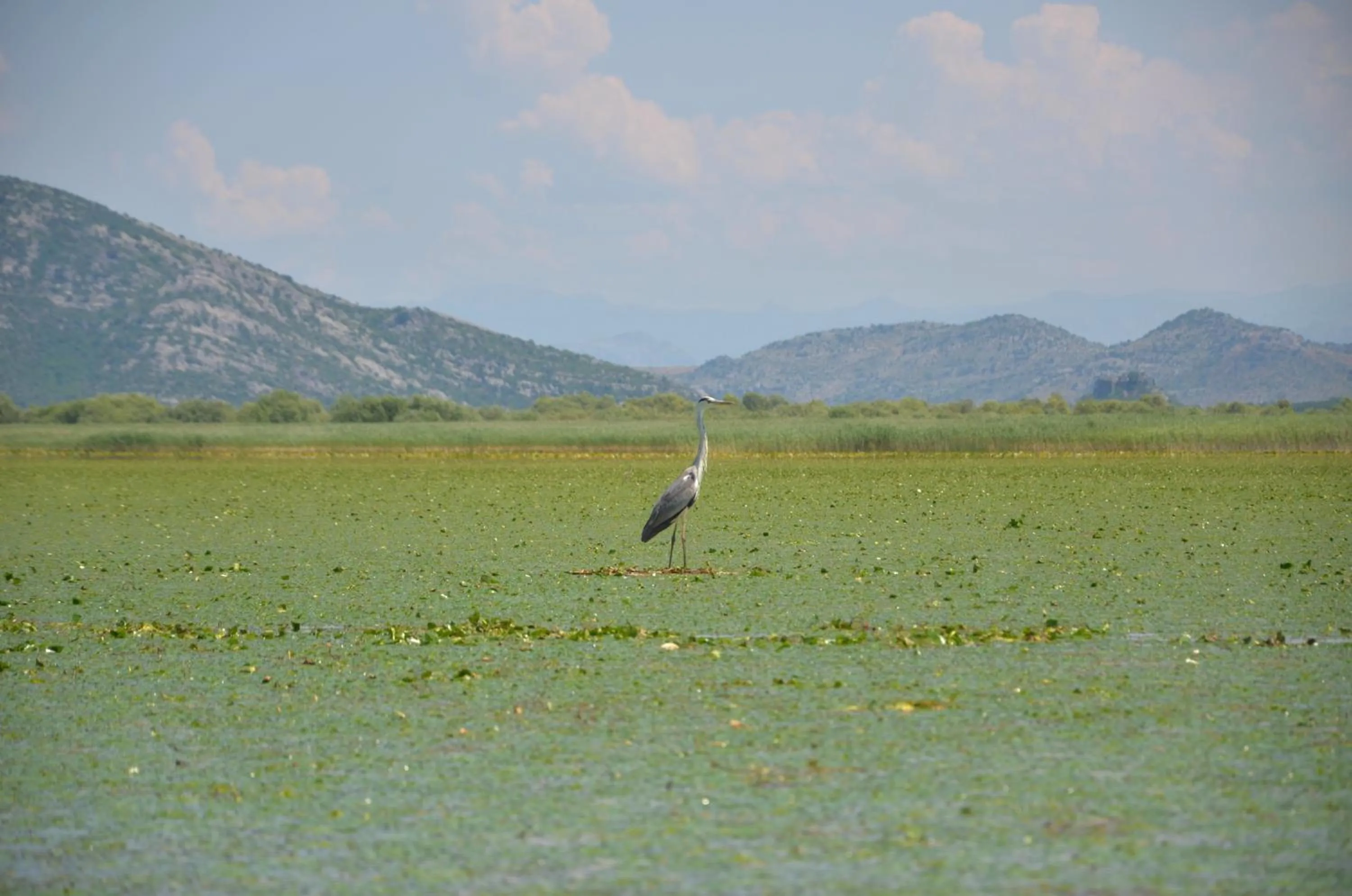 Canoeing in Hotel Pelikan