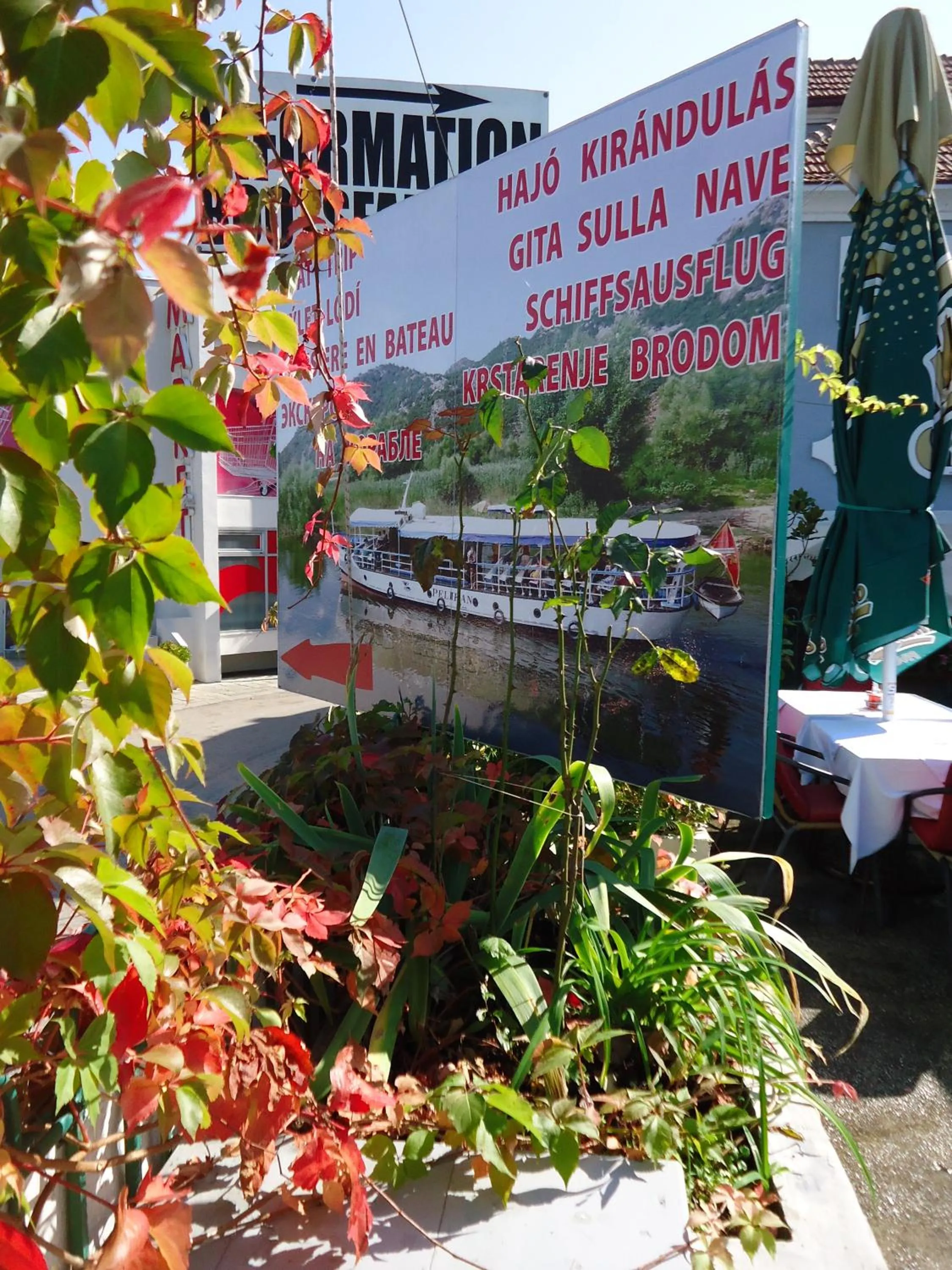 Restaurant/places to eat in Hotel Pelikan