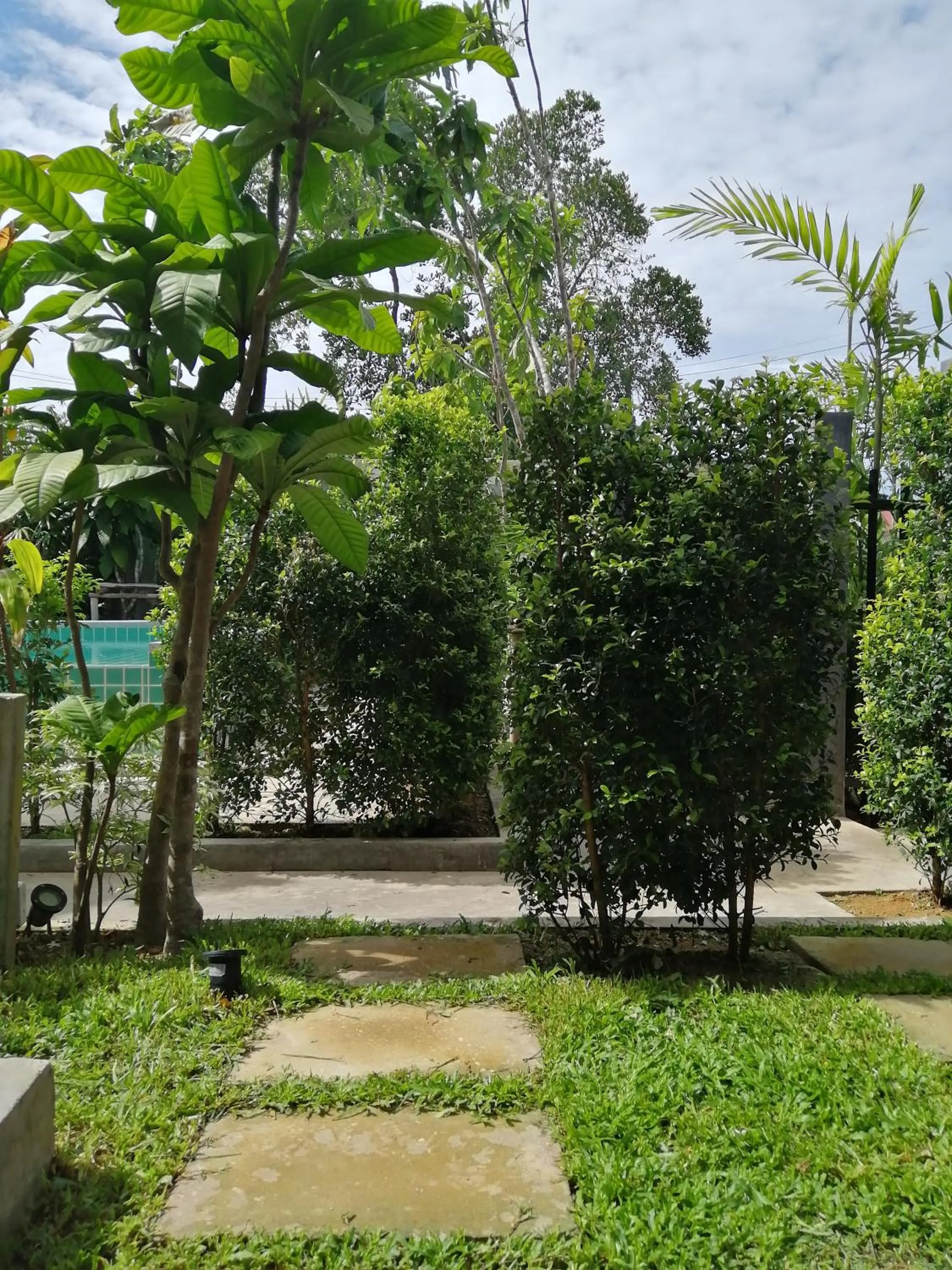 Garden in JR Place