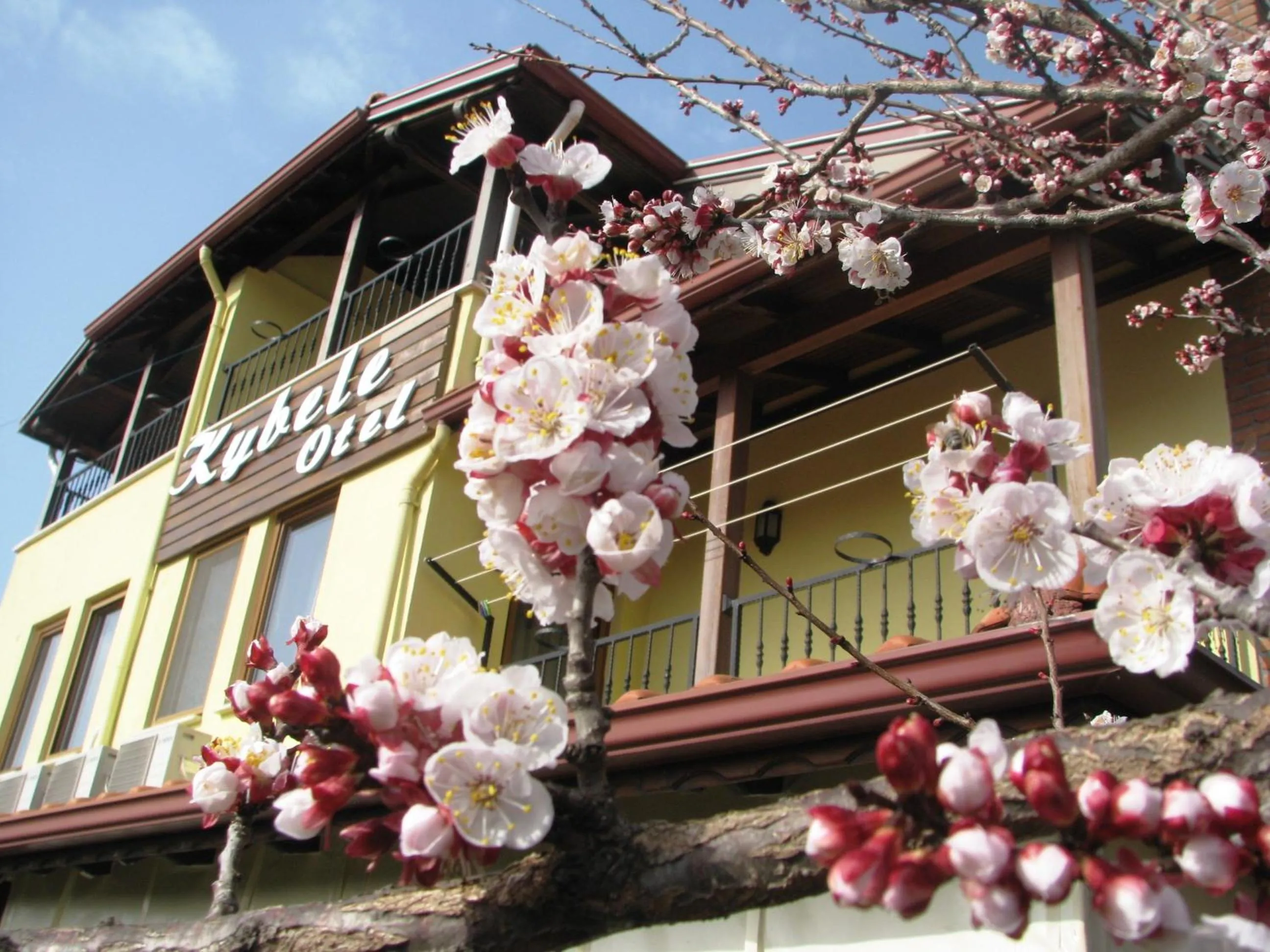 Facade/entrance in Kybele Hotel Gocek