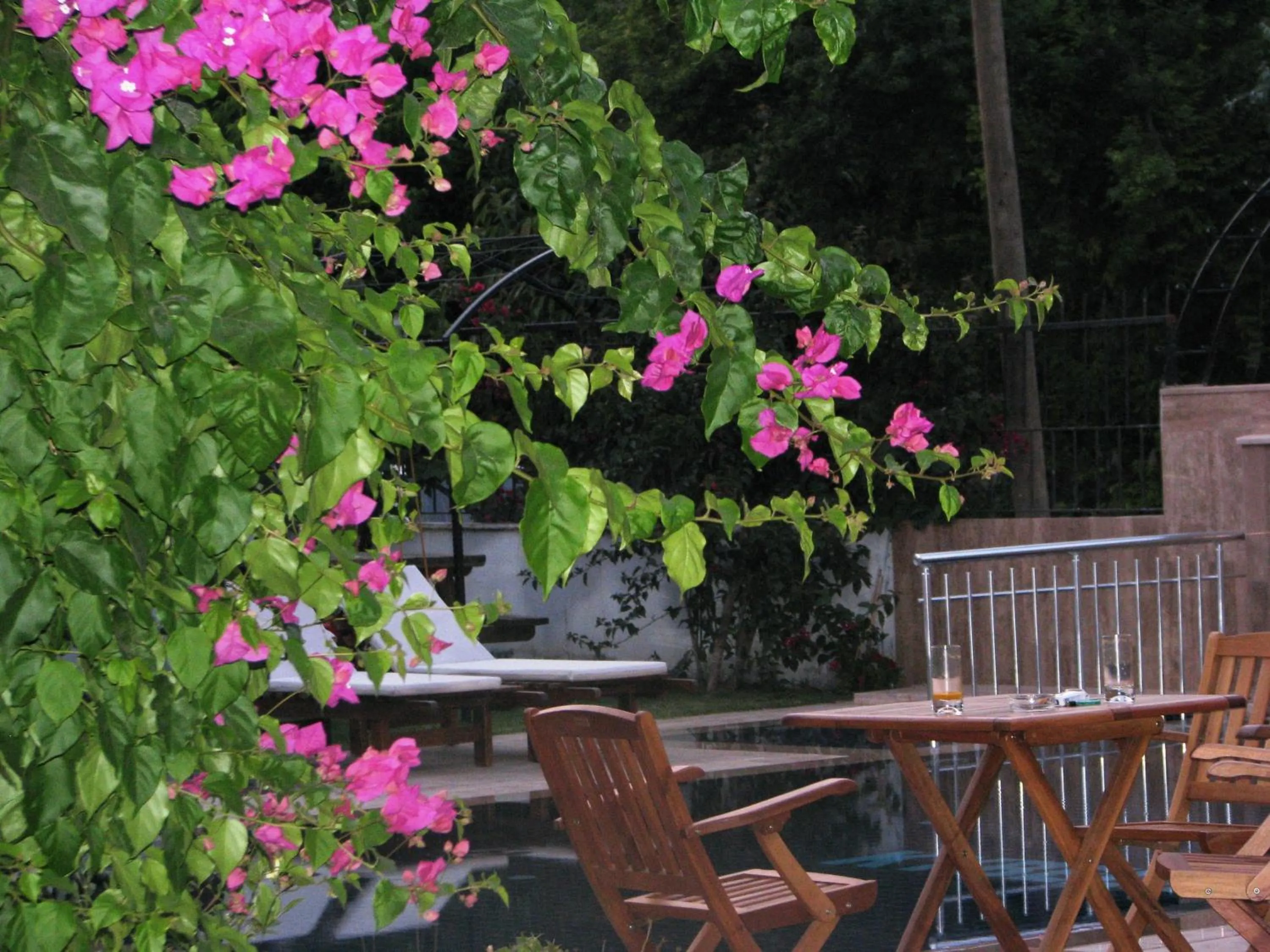 Garden in Kybele Hotel Gocek