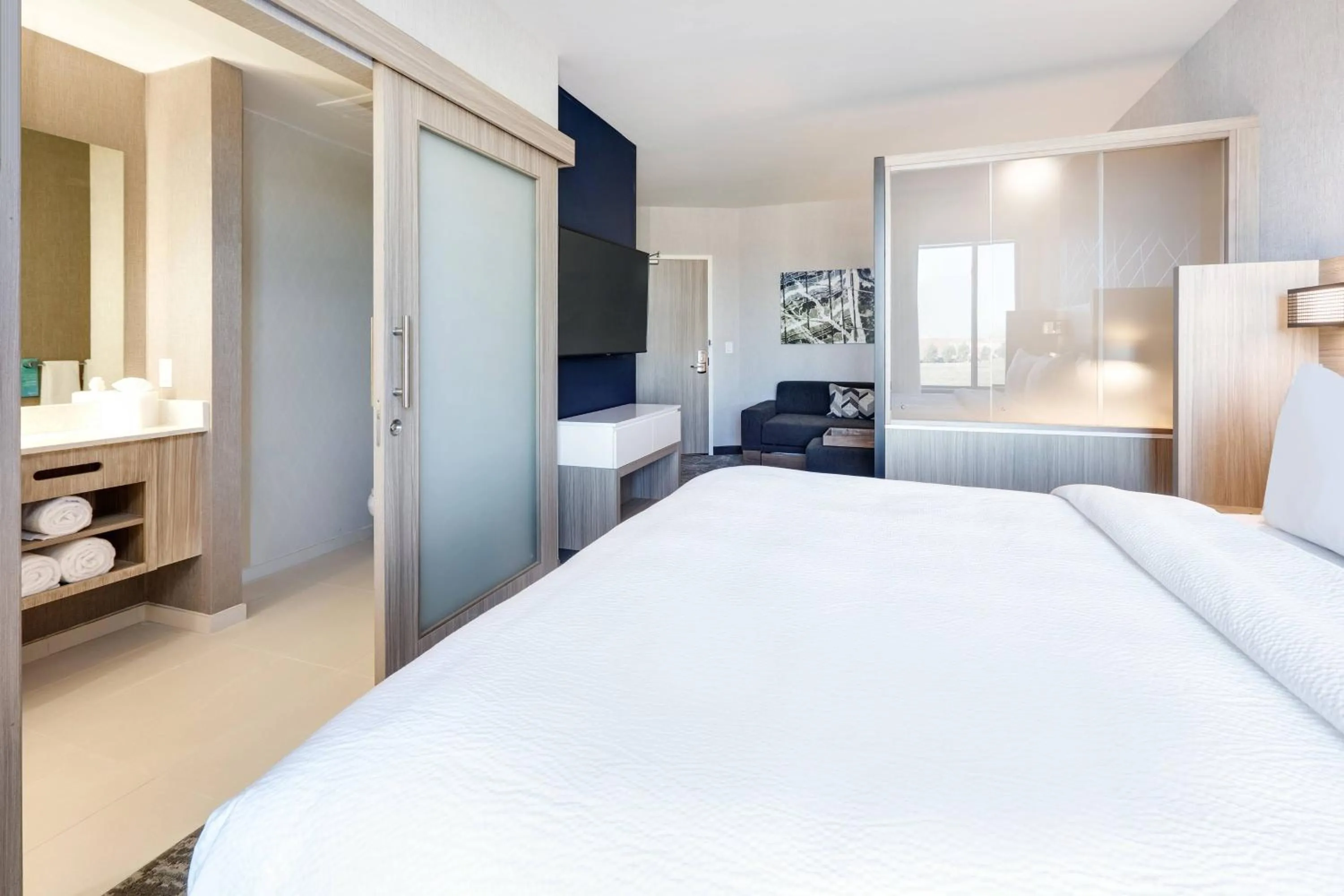 Photo of the whole room, Bed in SpringHill Suites by Marriott Dallas Mansfield