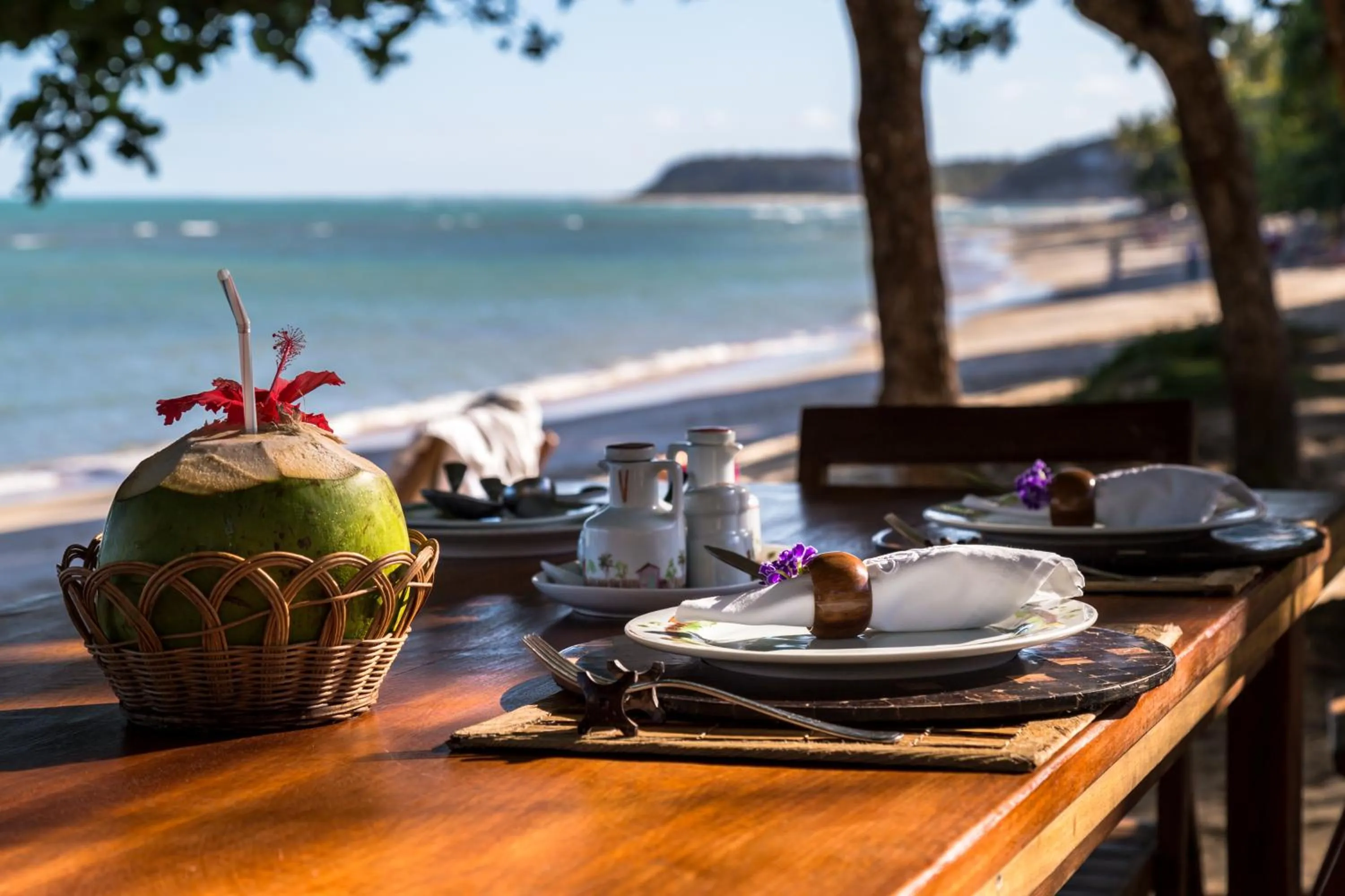 Non alcoholic drinks in Pousada Enseada do Espelho