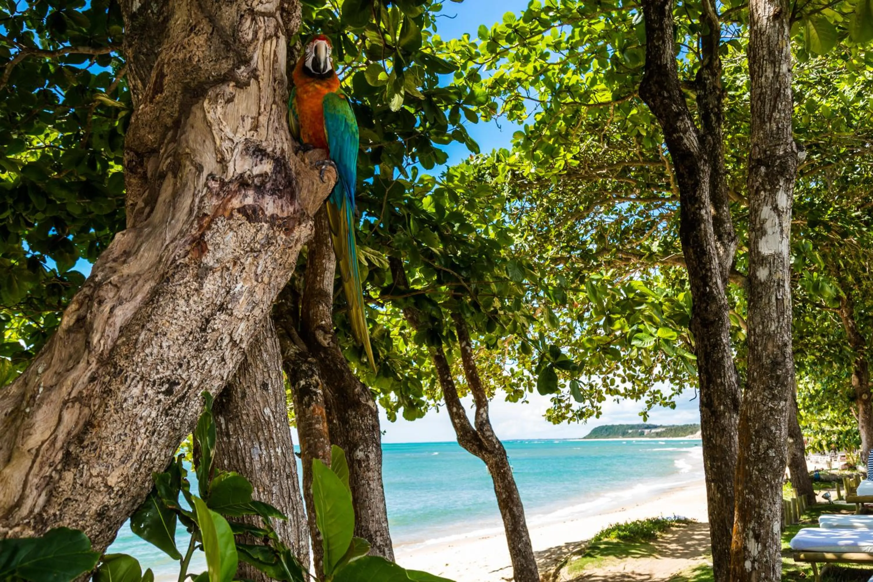 Beach in Pousada Enseada do Espelho