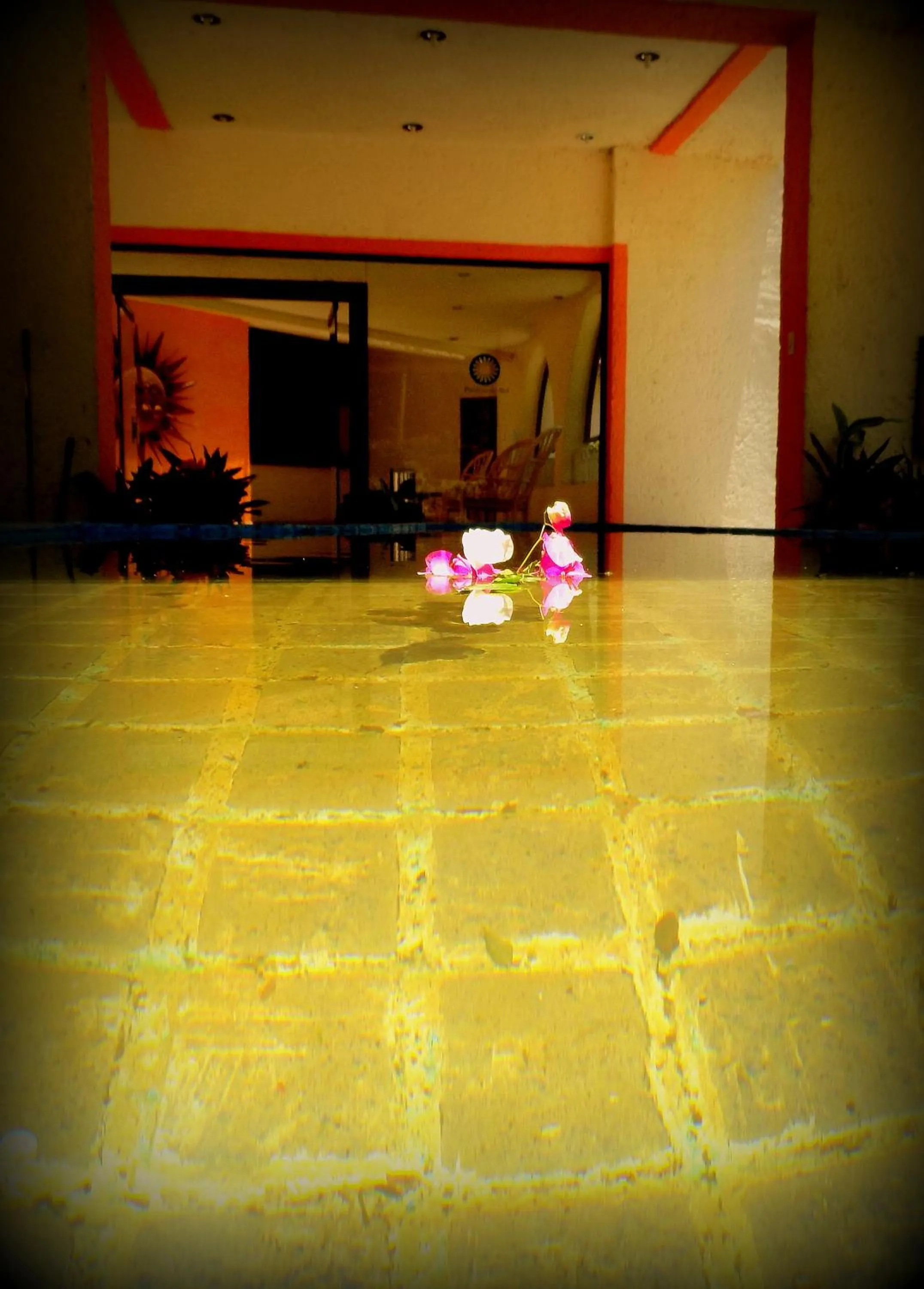 Hotel Piedras de Sol Solaris Morelos