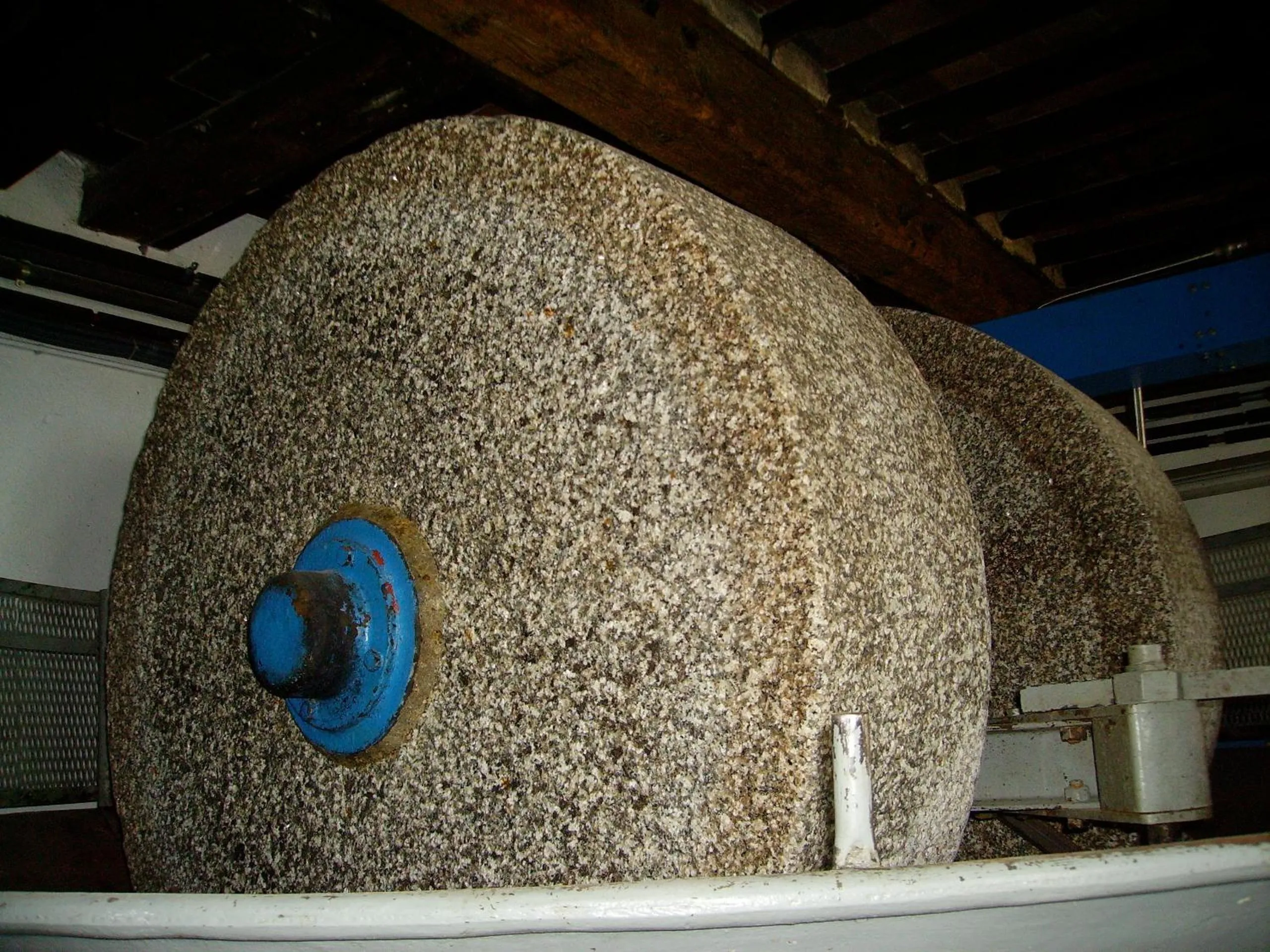 Activities in Fattoria Gambaro di Petrognano