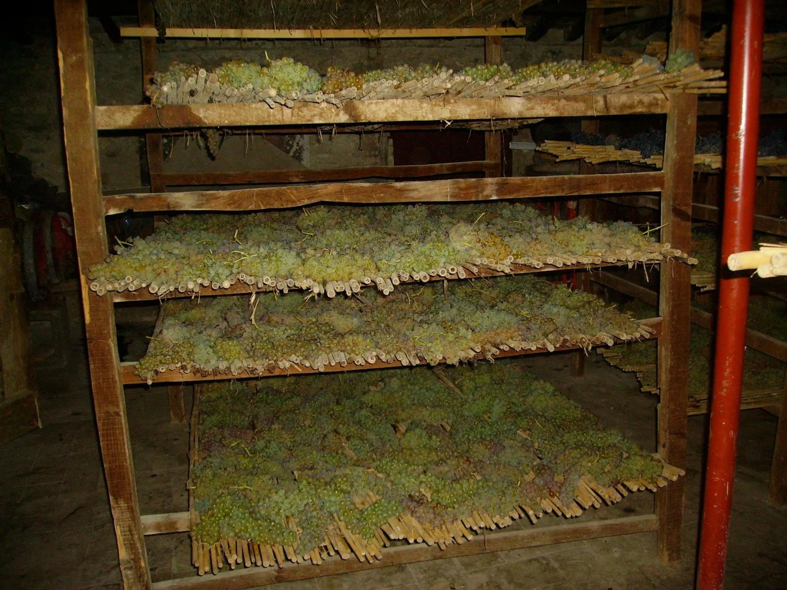 Activities in Fattoria Gambaro di Petrognano