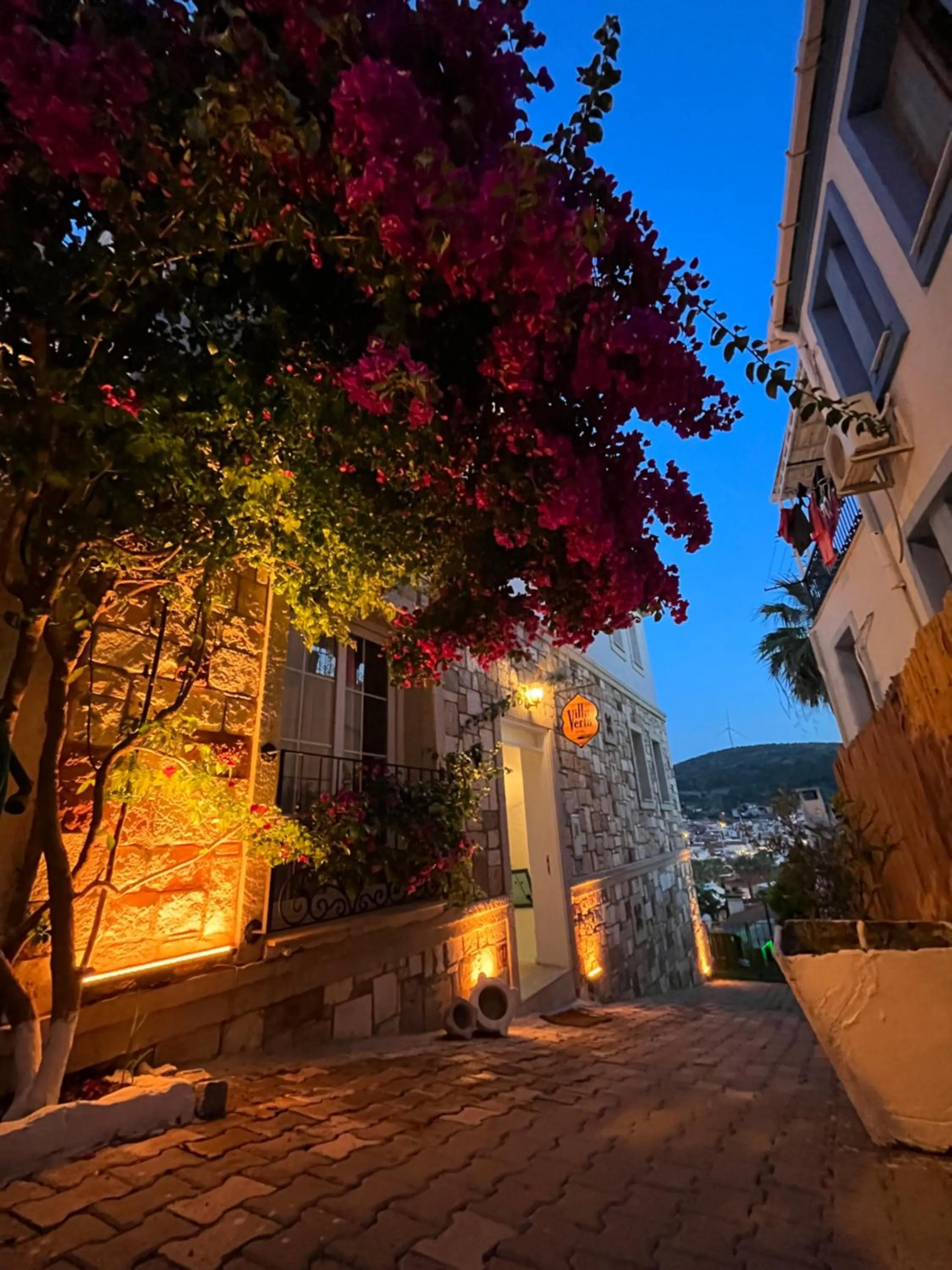 Property building in Villa Veria