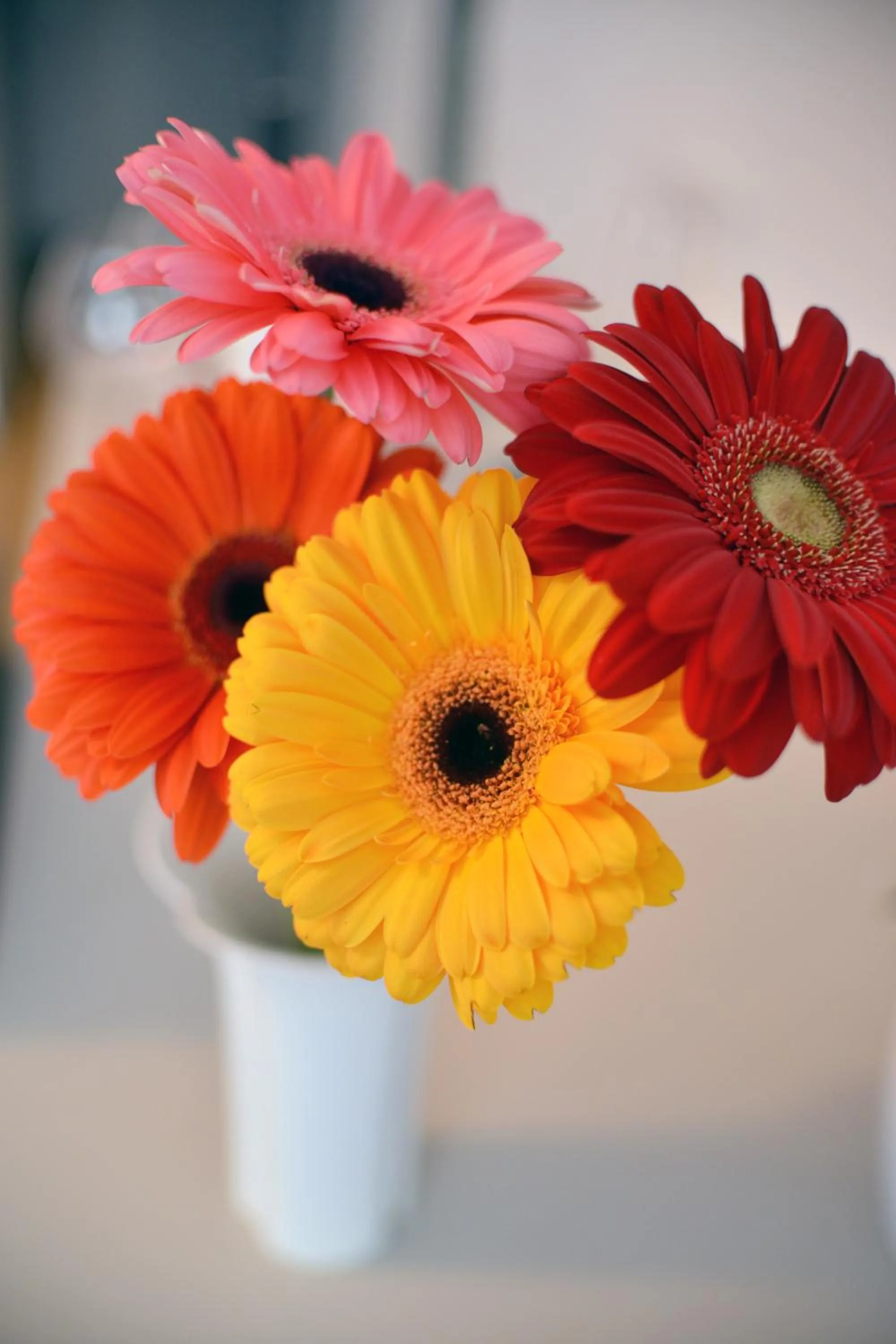 Decorative detail in Garden Hotel